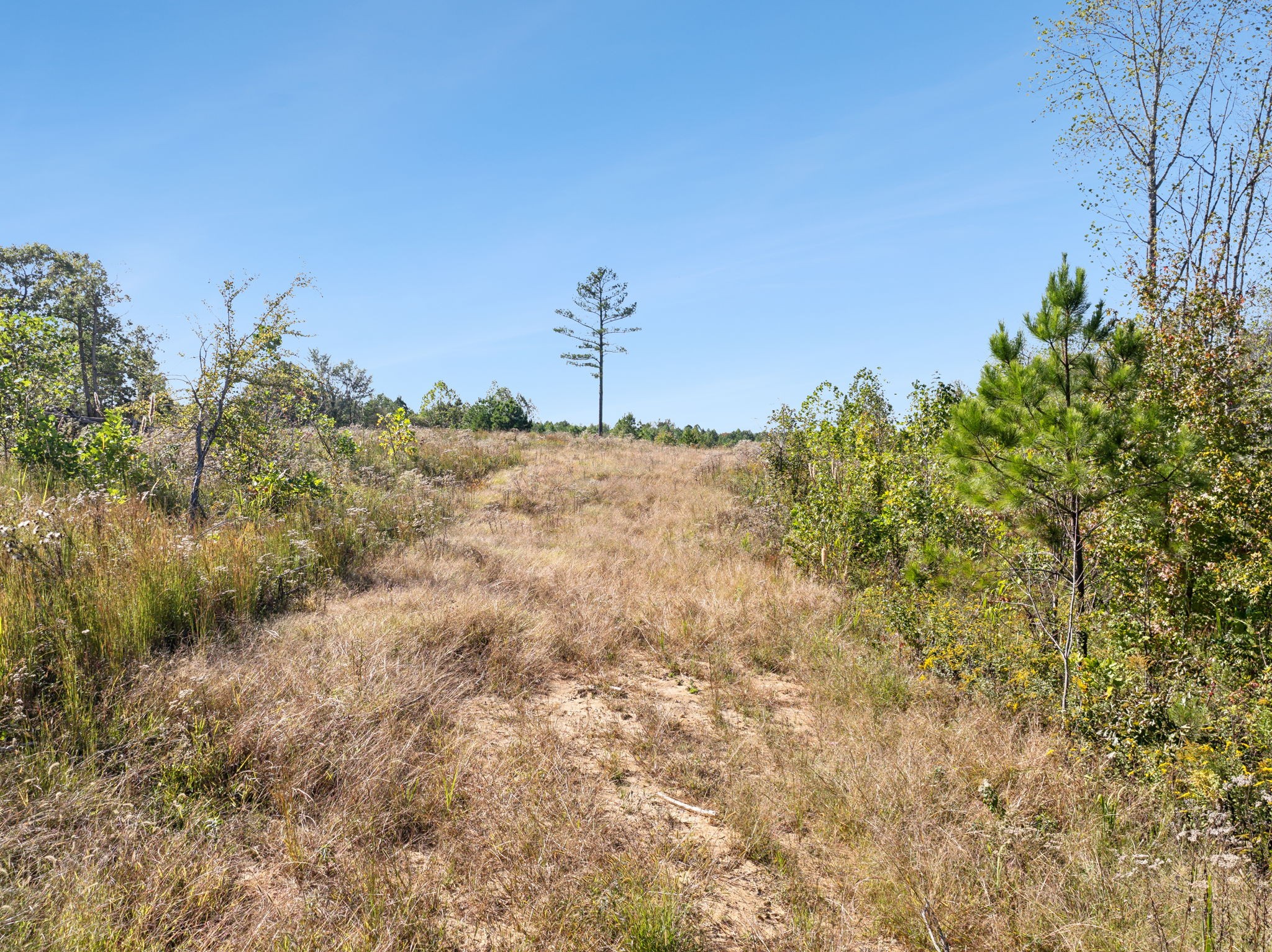 0 Cox Hollow Property Photo 53