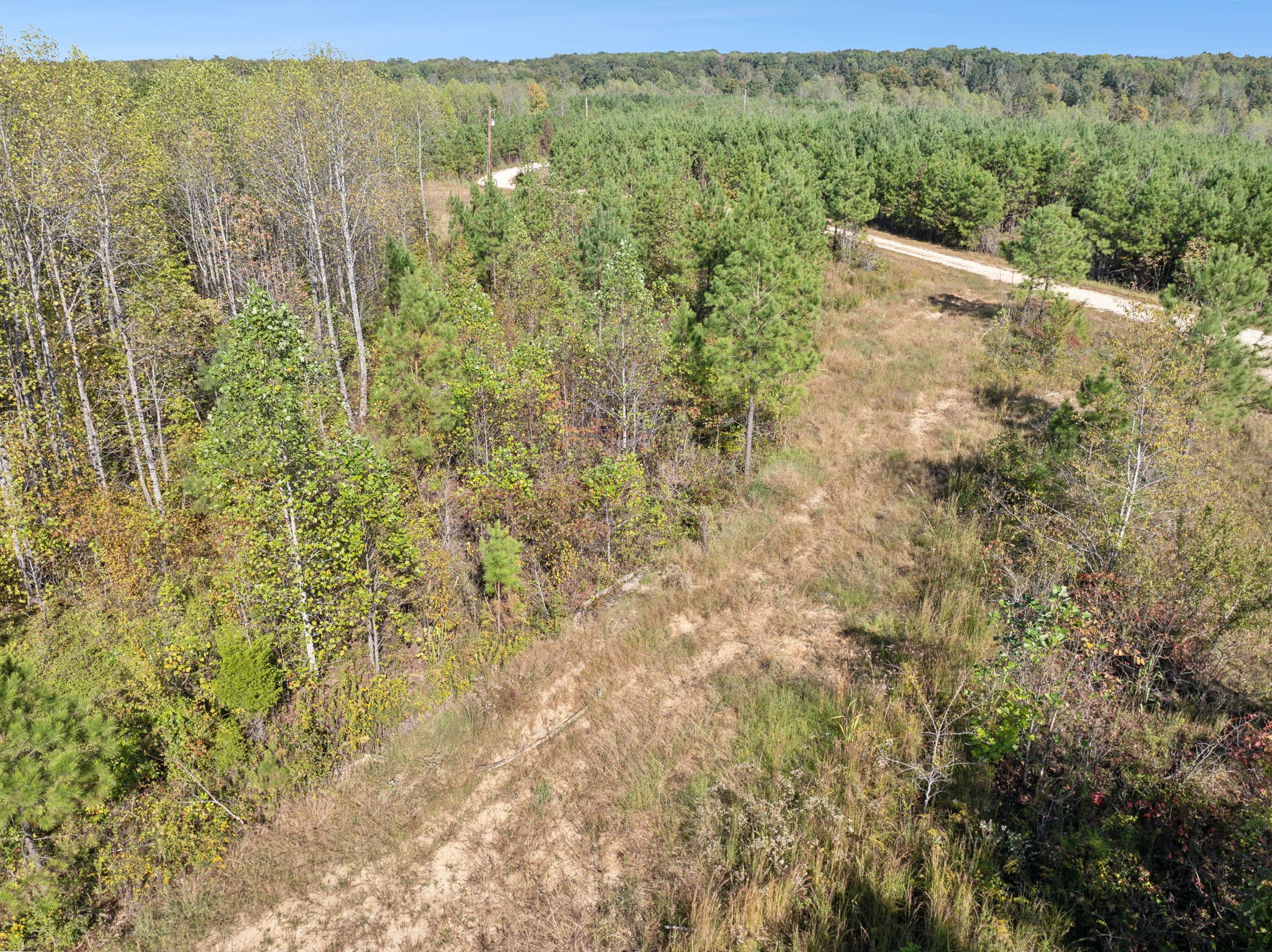 0 Cox Hollow Property Photo 54