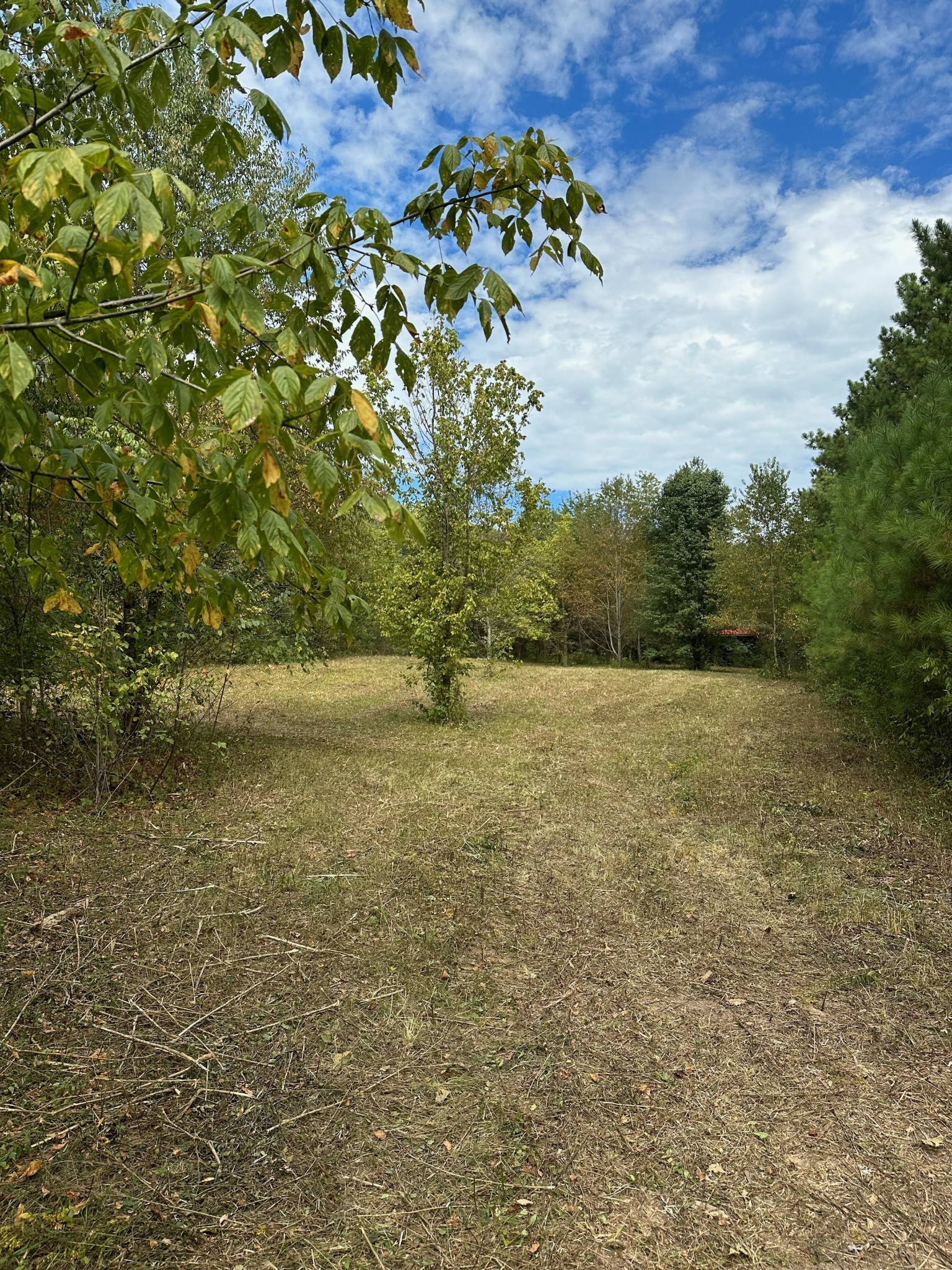 0 Eudailey Covington Rd Property Photo 1