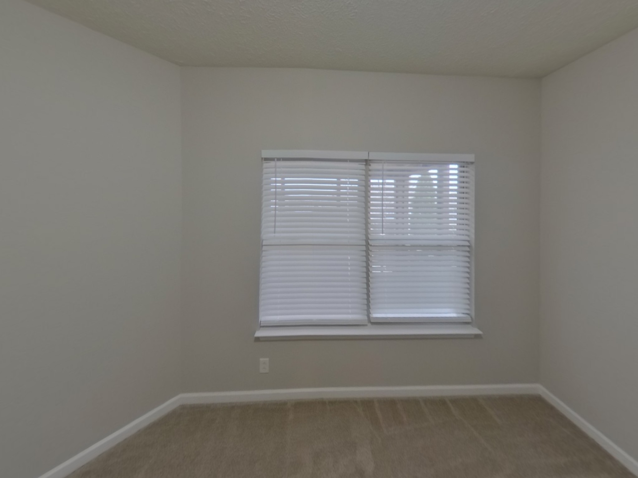 1712 Colyn Ave Property Photo 17