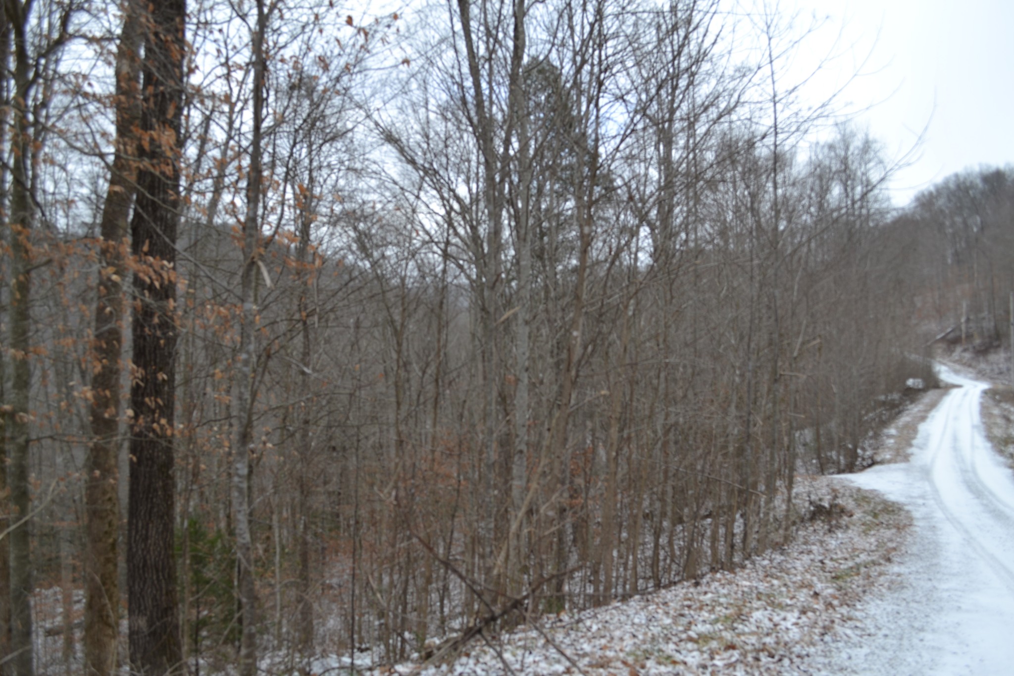 0 Apache Rd Property Photo 9
