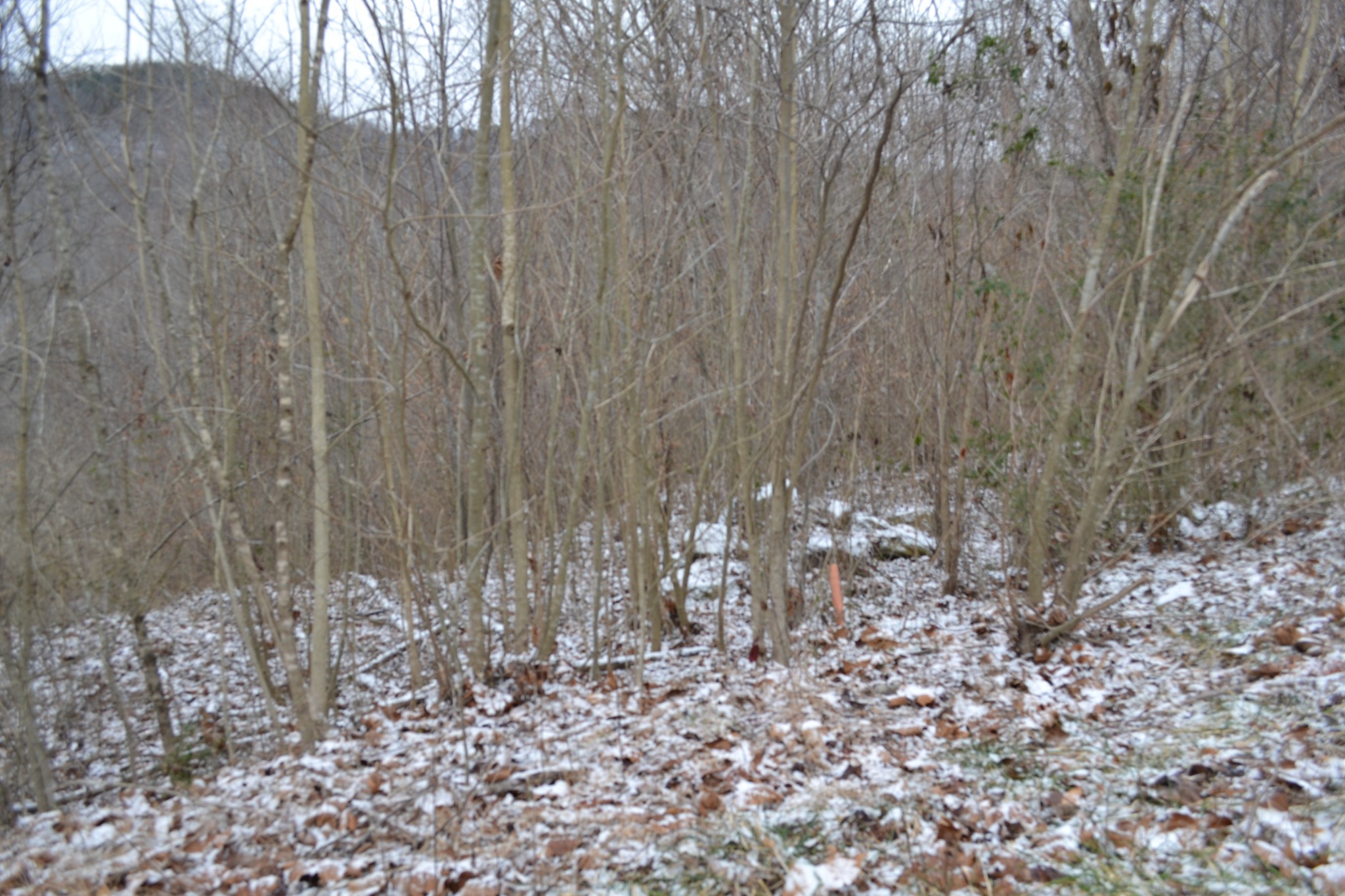 0 Apache Rd Property Photo 13