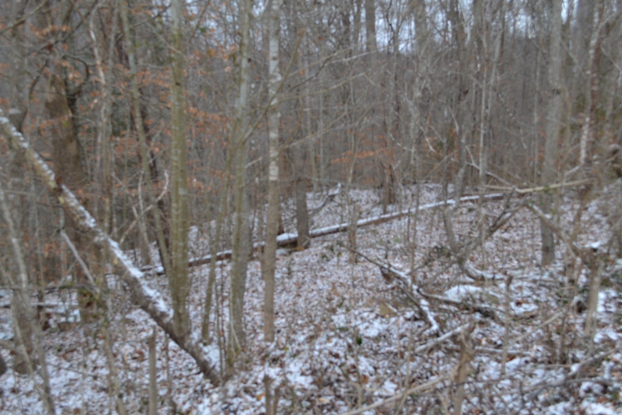 0 Apache Rd Property Photo 17
