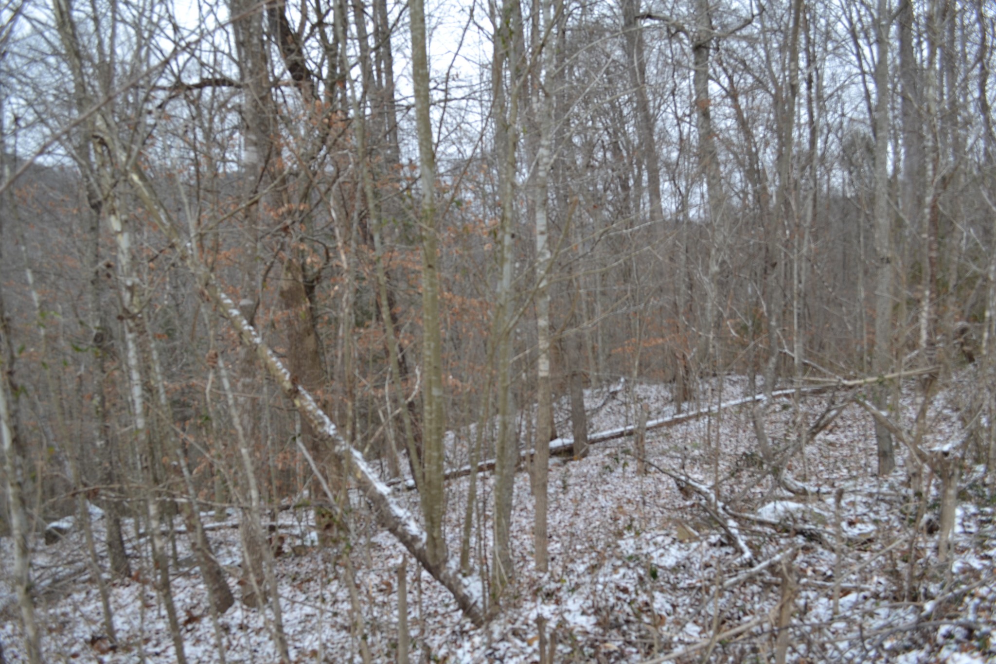 0 Apache Rd Property Photo 18
