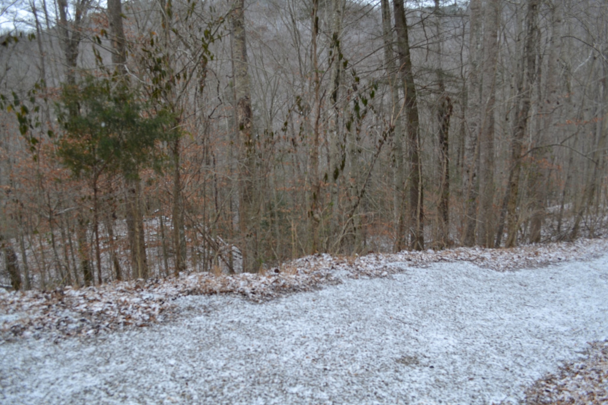 0 Apache Rd Property Photo 22