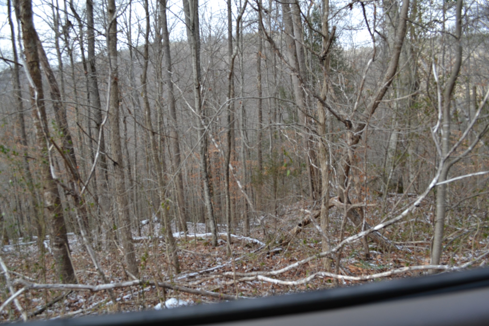 0 Apache Rd Property Photo 36