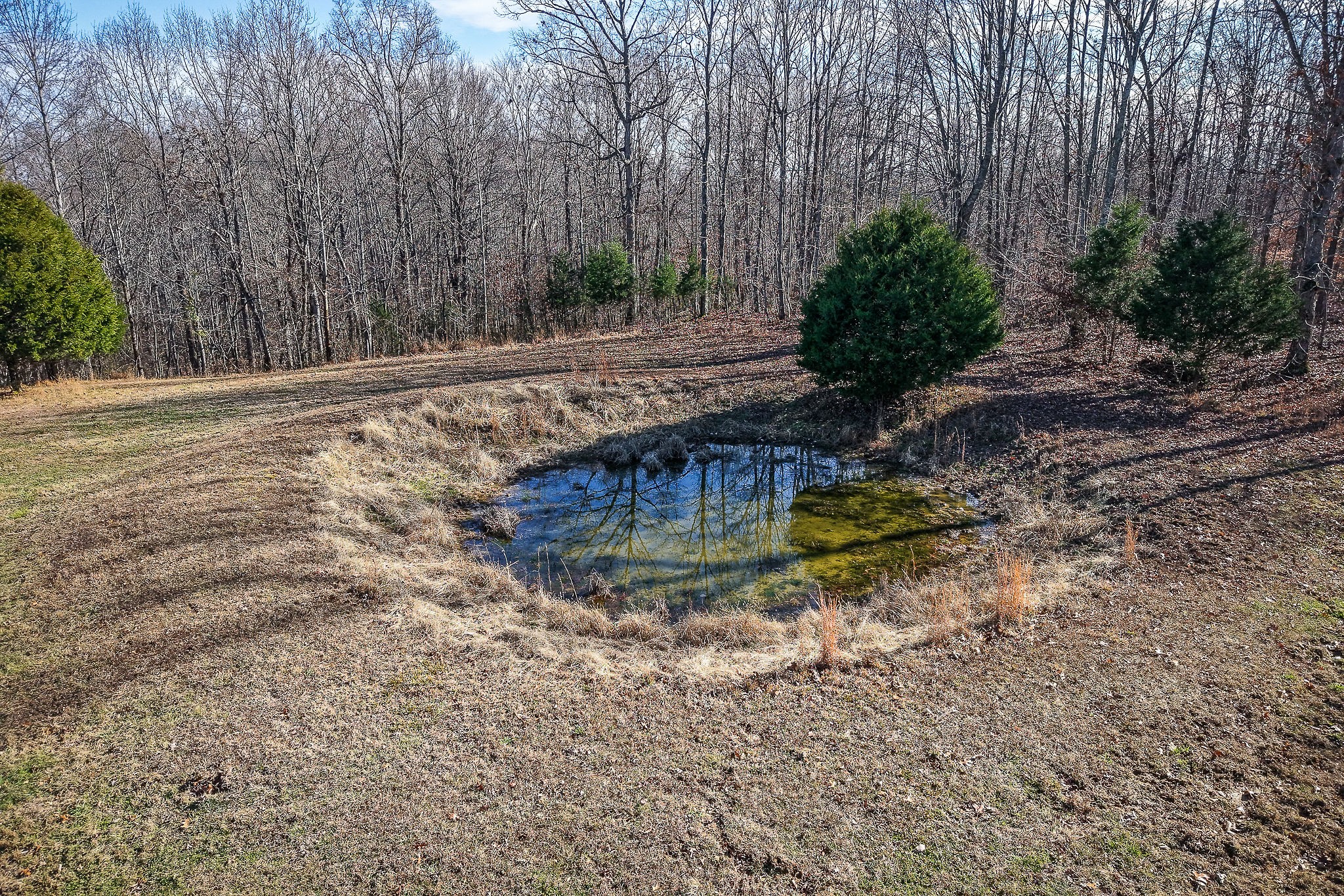 1772 S Fork Rd Property Photo 23