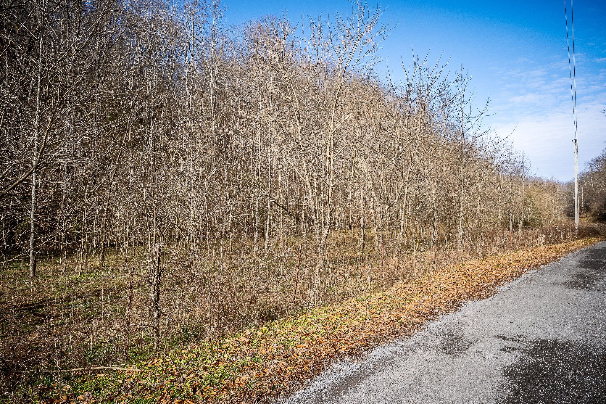 1772 S Fork Rd Property Photo 29