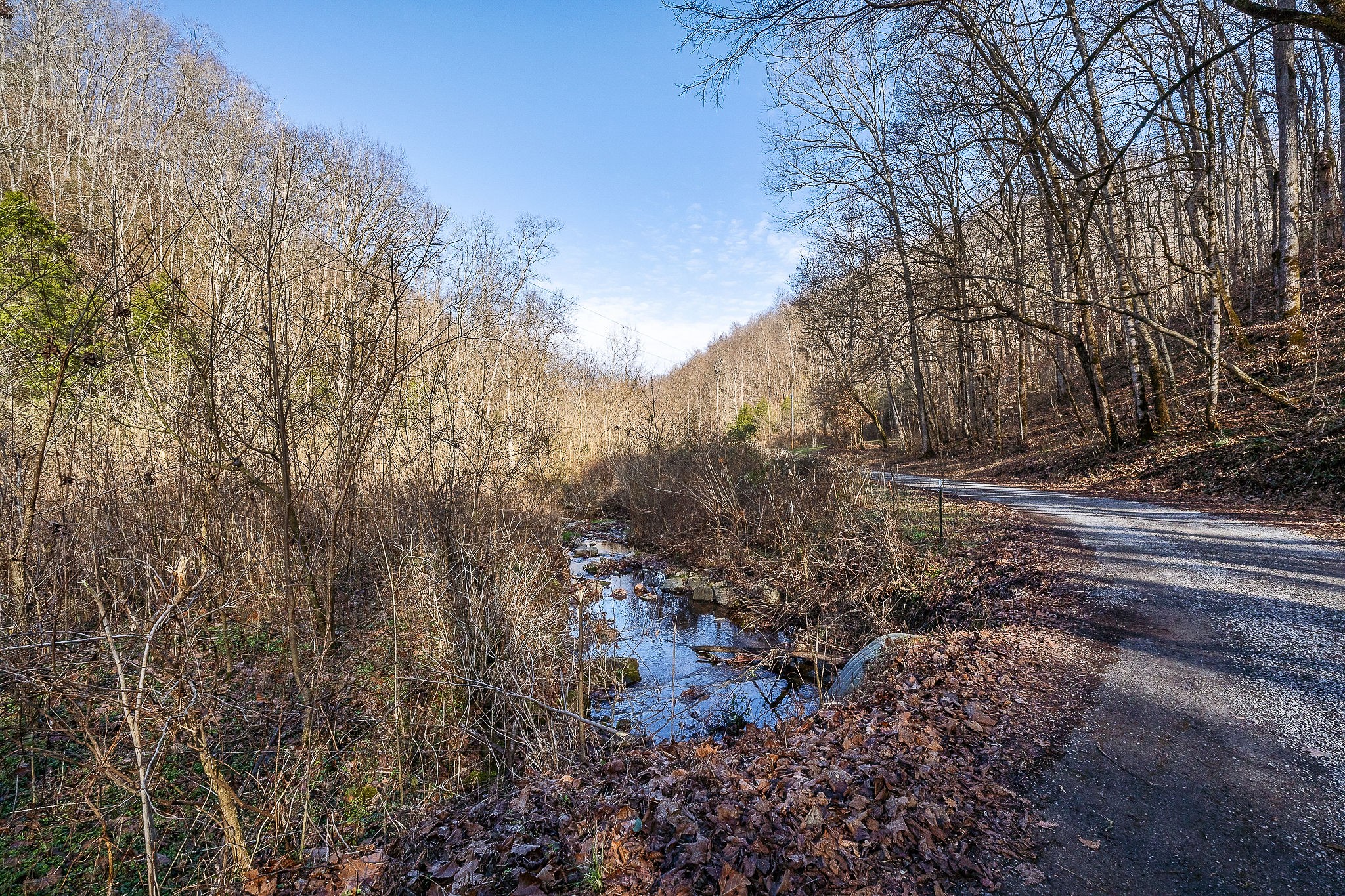 1772 S Fork Rd Property Photo 30