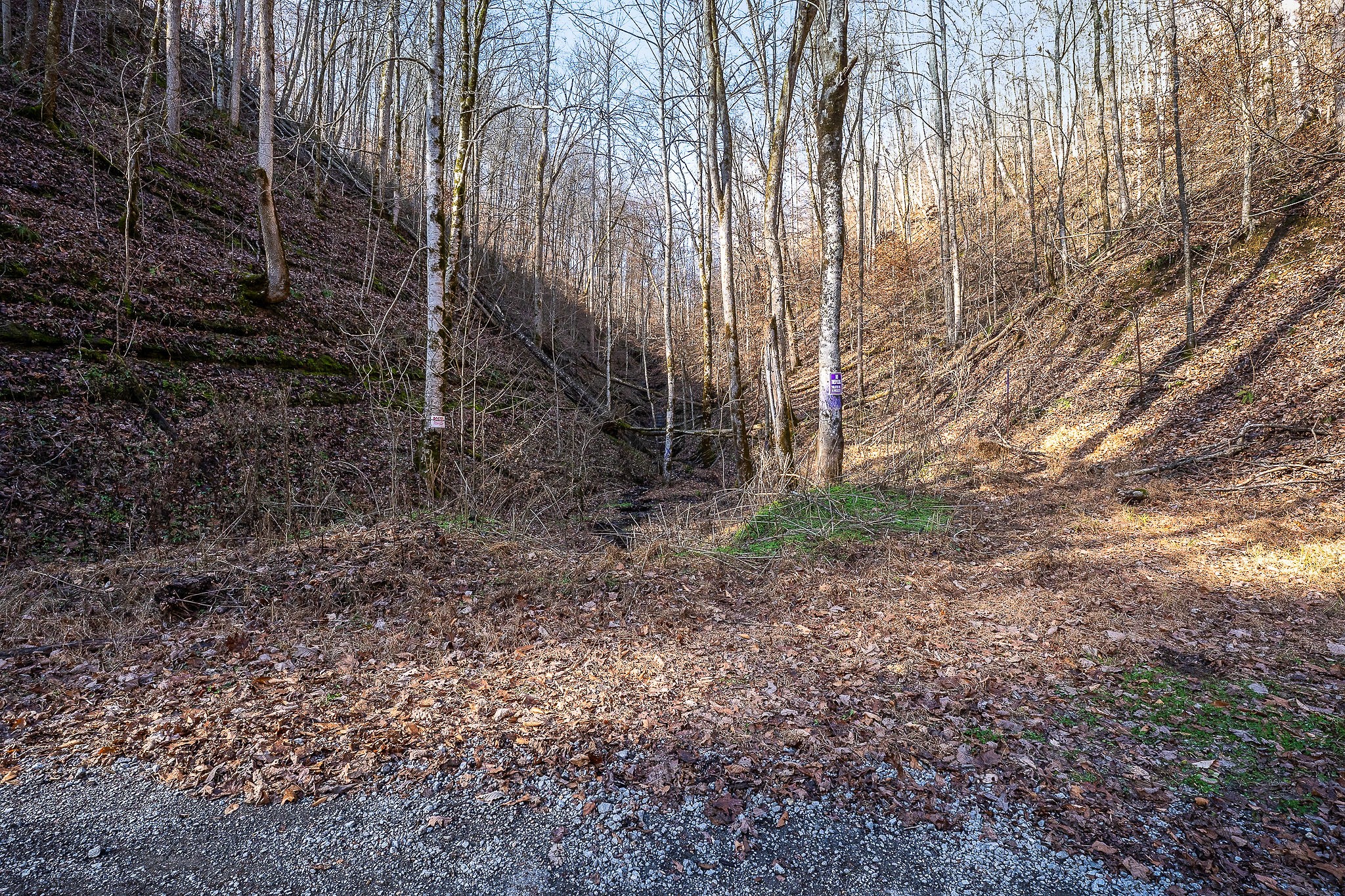 1772 S Fork Rd Property Photo 31