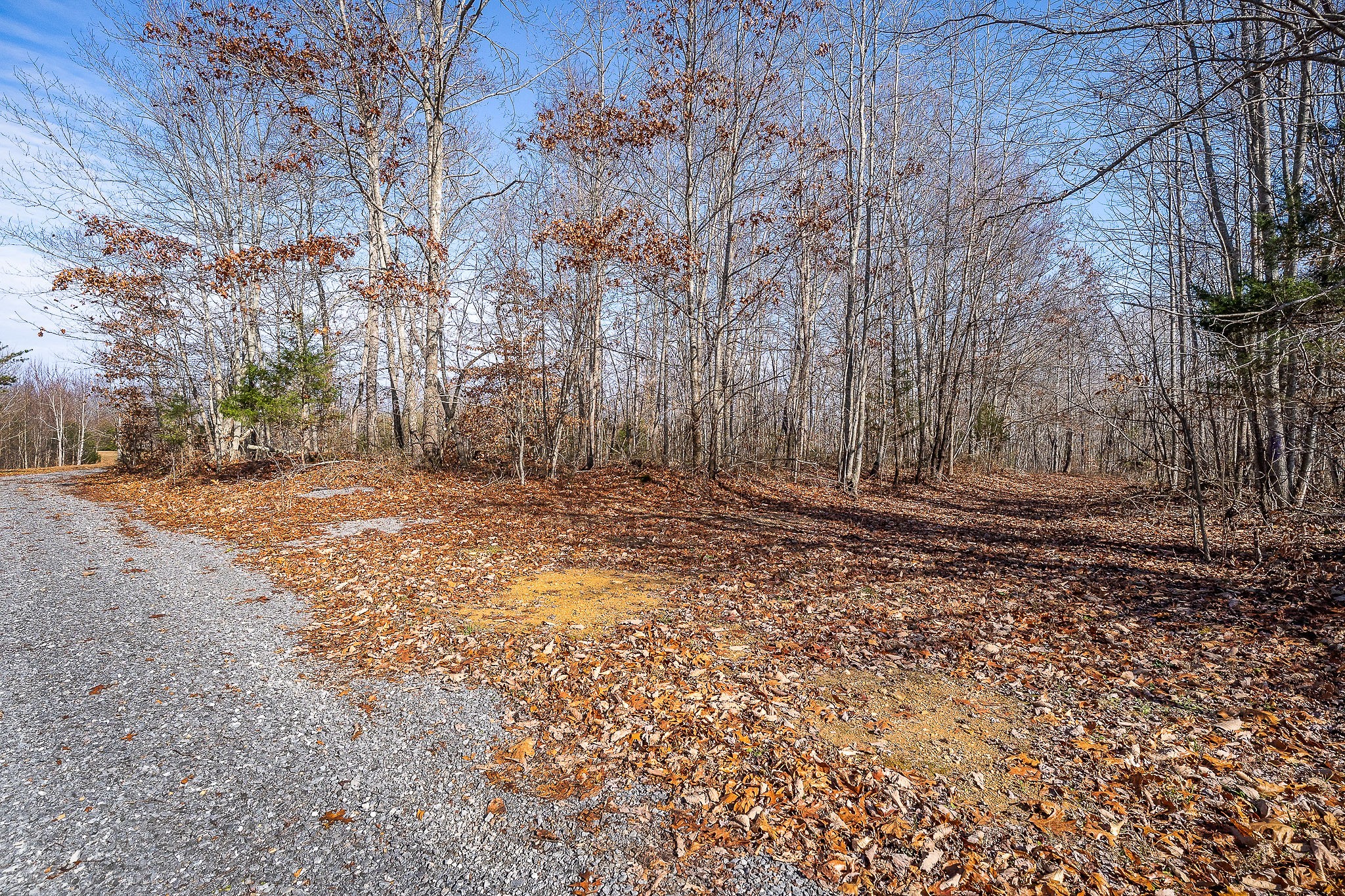 1772 S Fork Rd Property Photo 36