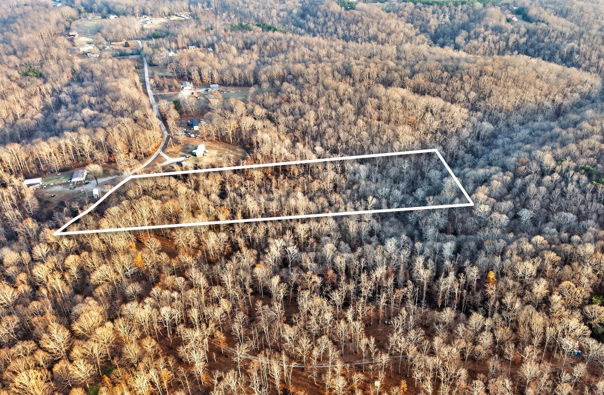 100 Waynoe Road Property Photo 2