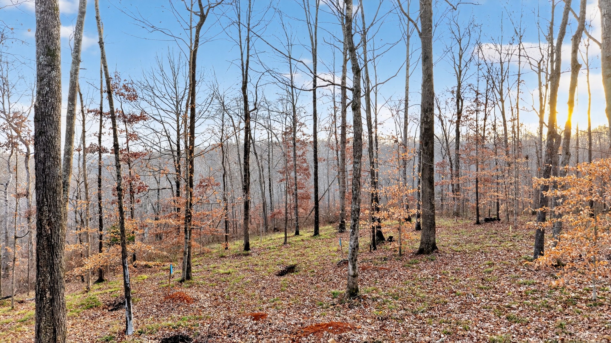 100 Waynoe Road Property Photo 4