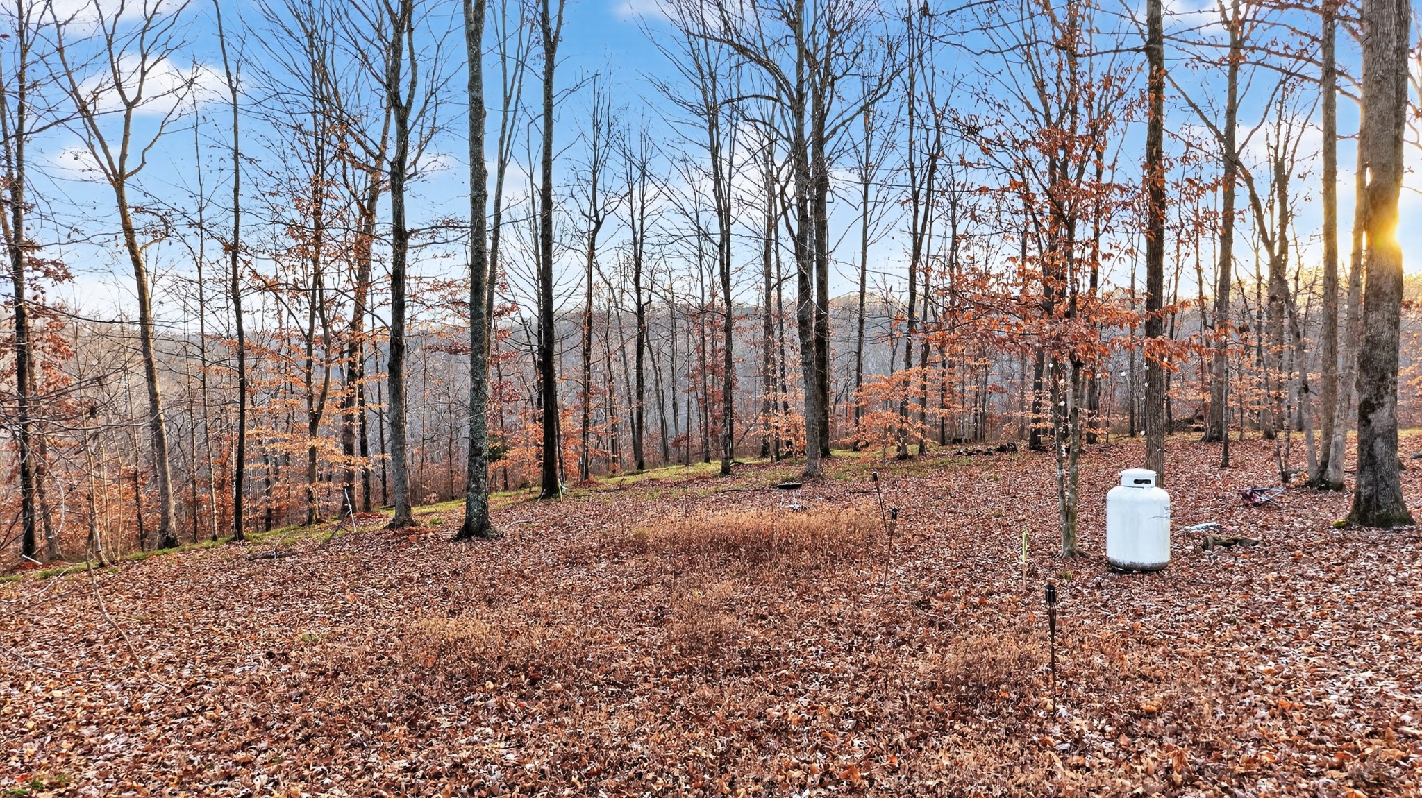 100 Waynoe Road Property Photo 13