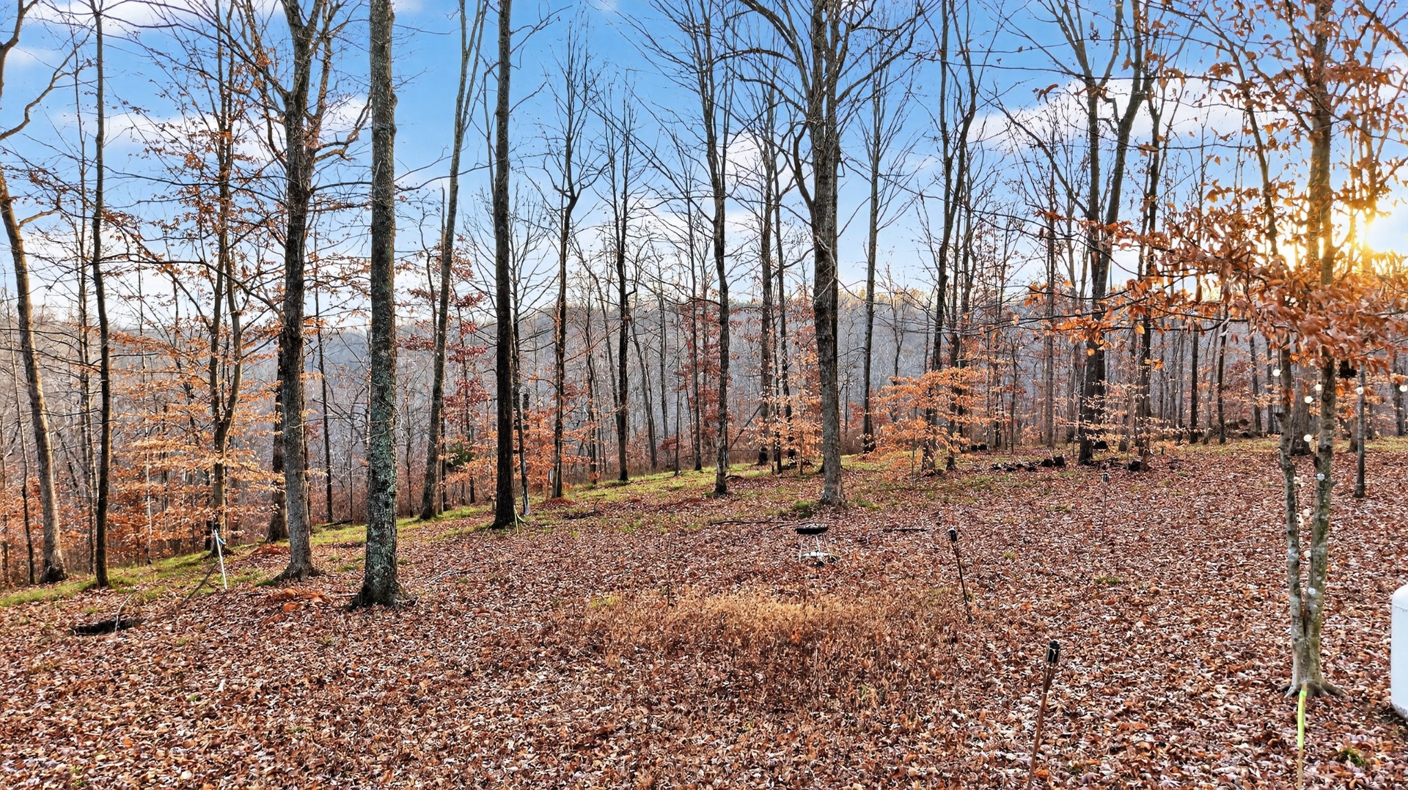 100 Waynoe Road Property Photo 14