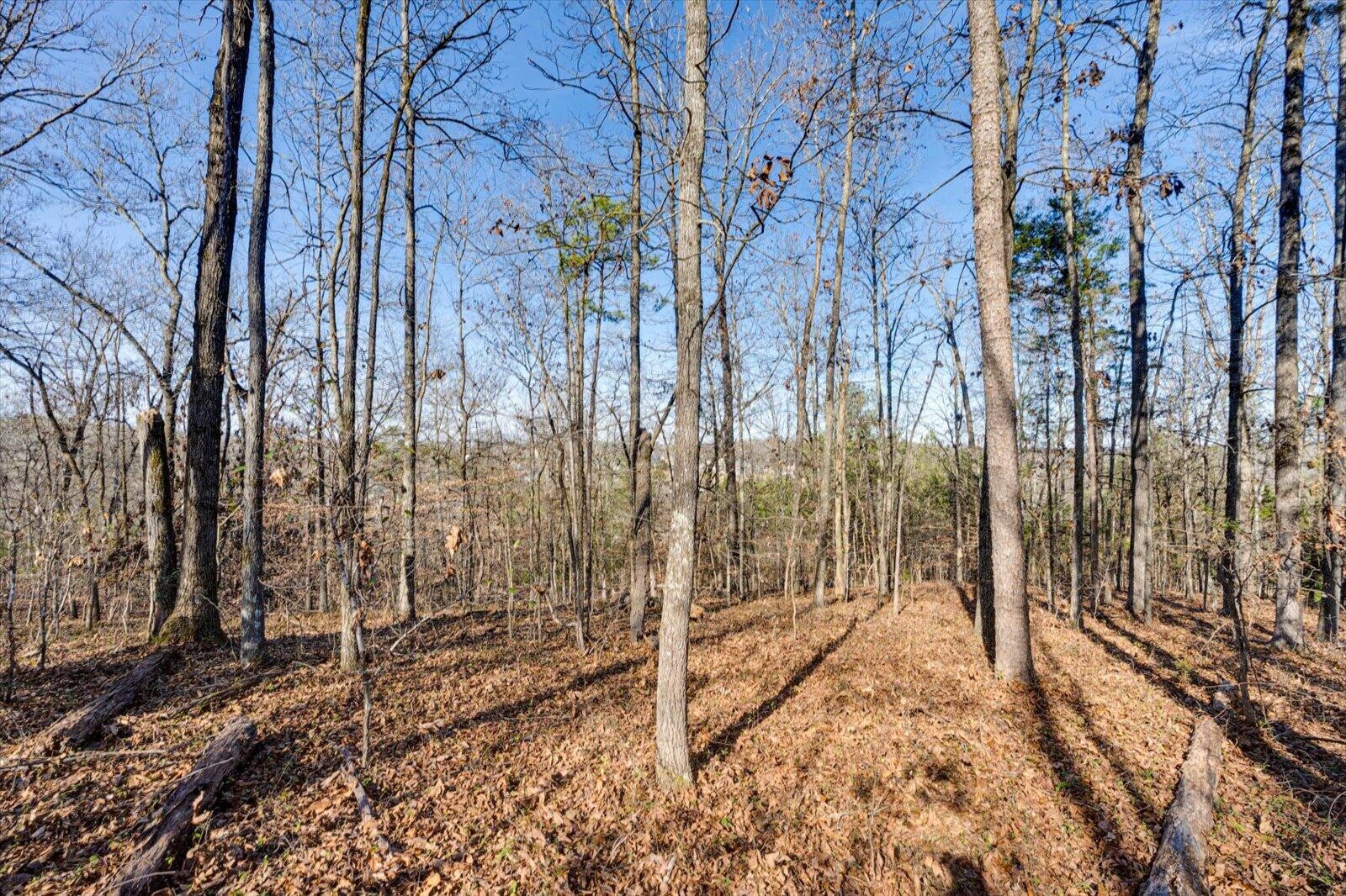 5831 Hunter Road Property Photo 4