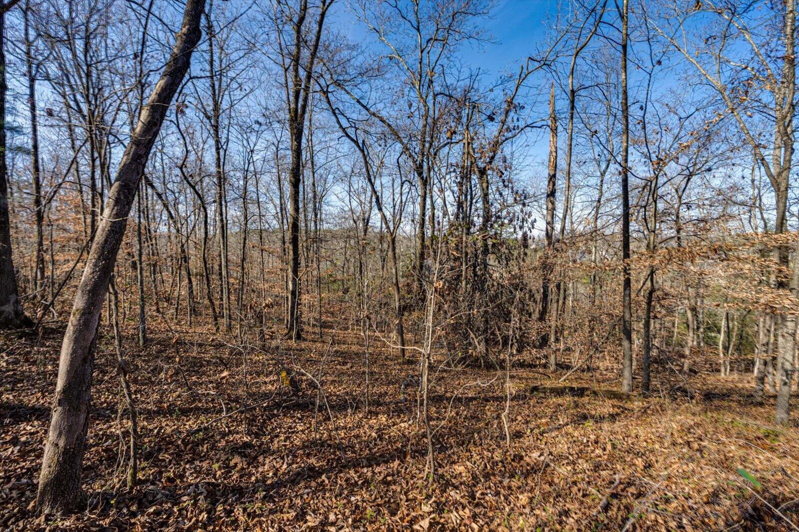 5831 Hunter Road Property Photo 5