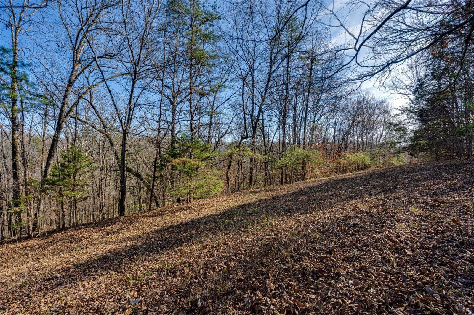 5831 Hunter Road Property Photo 6
