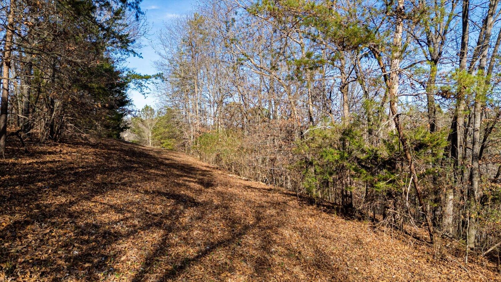 5831 Hunter Road Property Photo 20