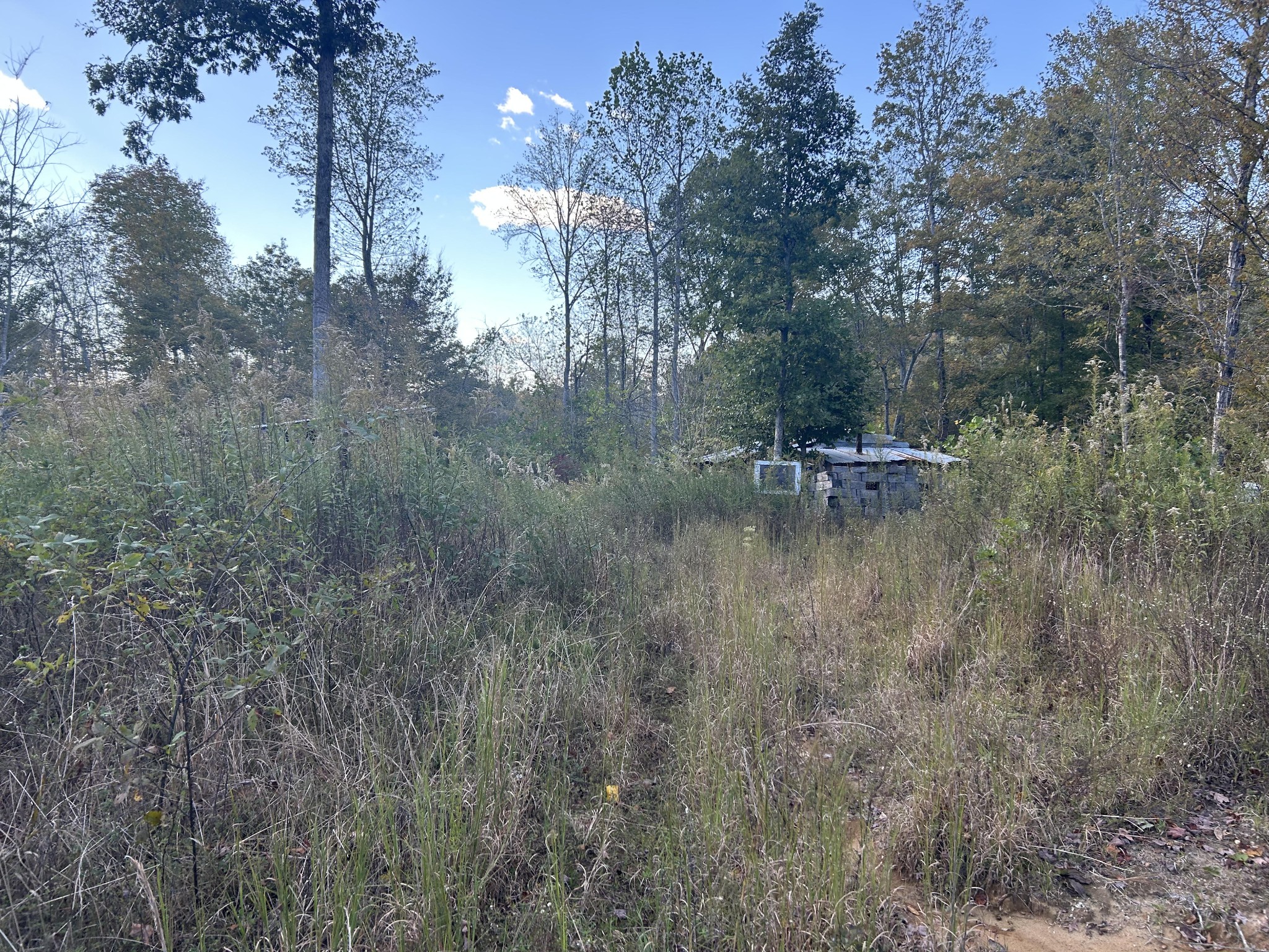 769 Preston Baggett Rd Property Photo 1