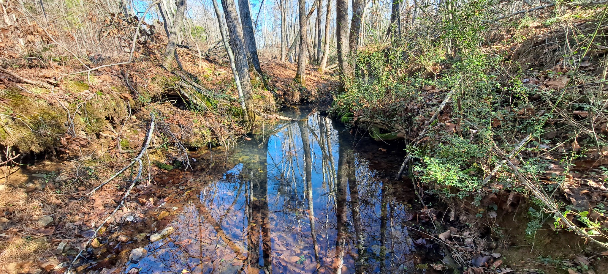 0 NW Piney Road