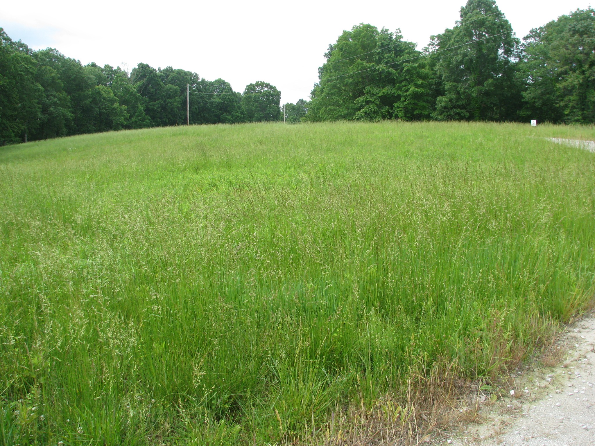 0 Barge Lane Property Photo 1