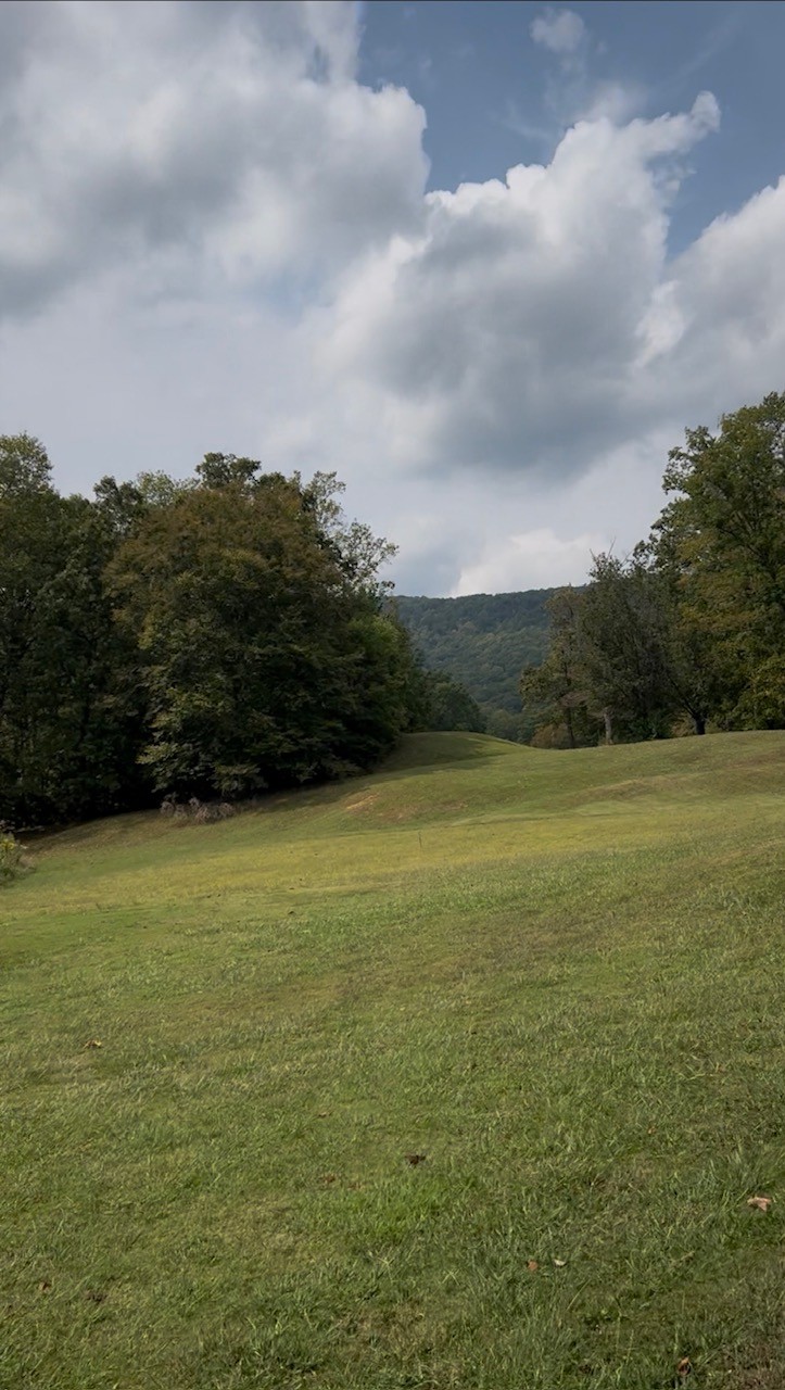 515 Old Us Highway 28 Property Photo 2