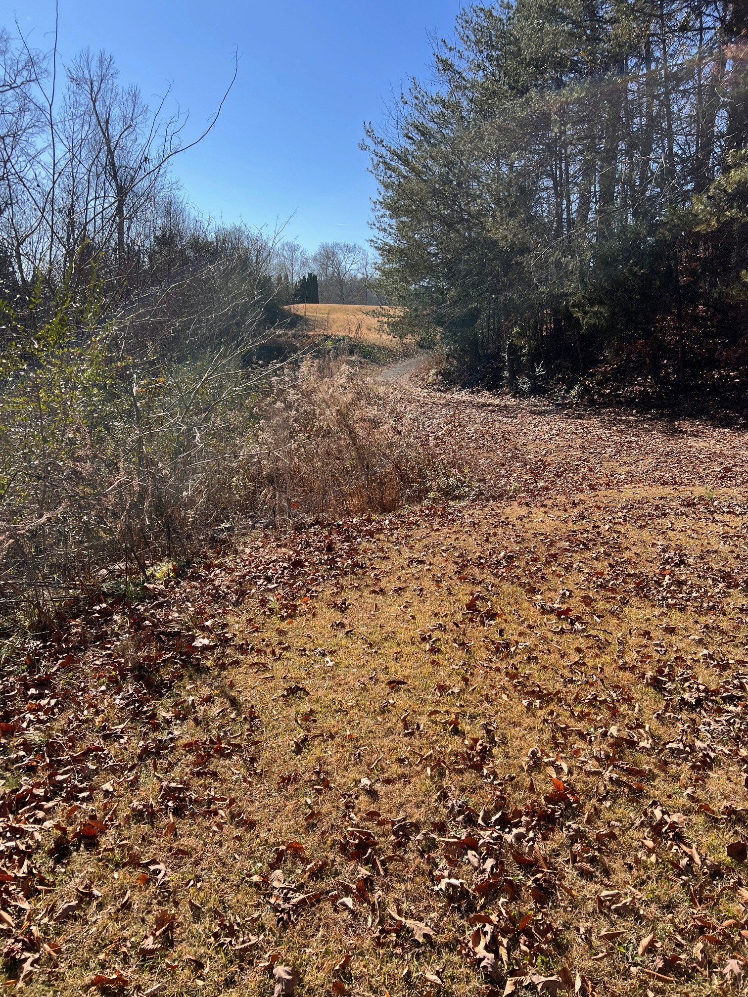 515 Old Us Highway 28 Property Photo 7