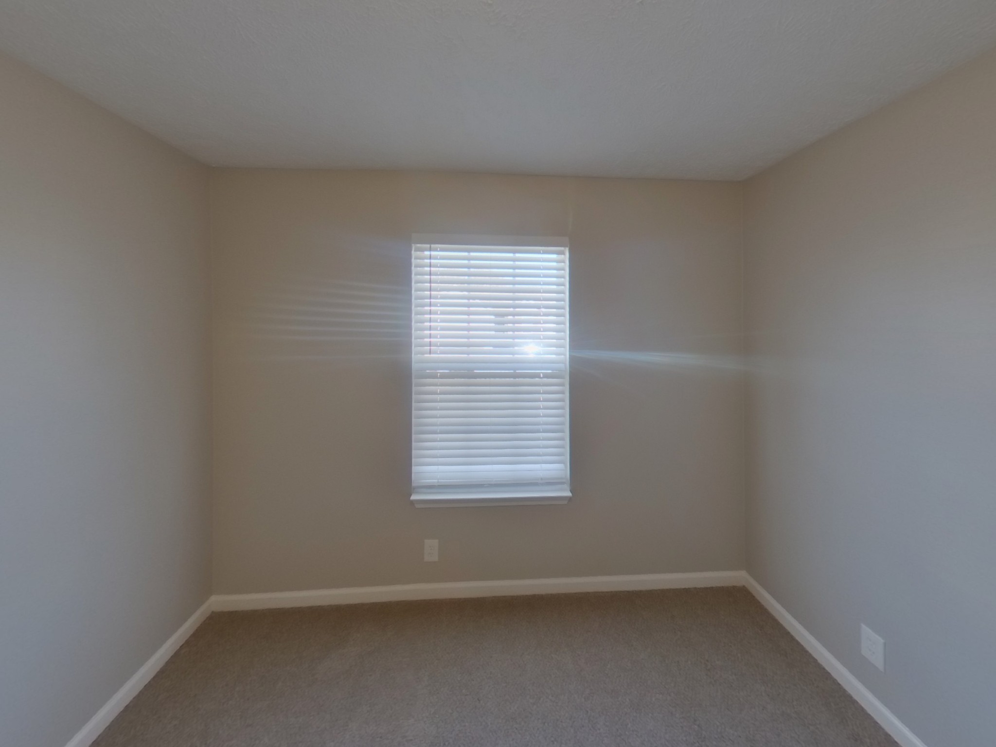 3107 Donard Ct Property Photo 11