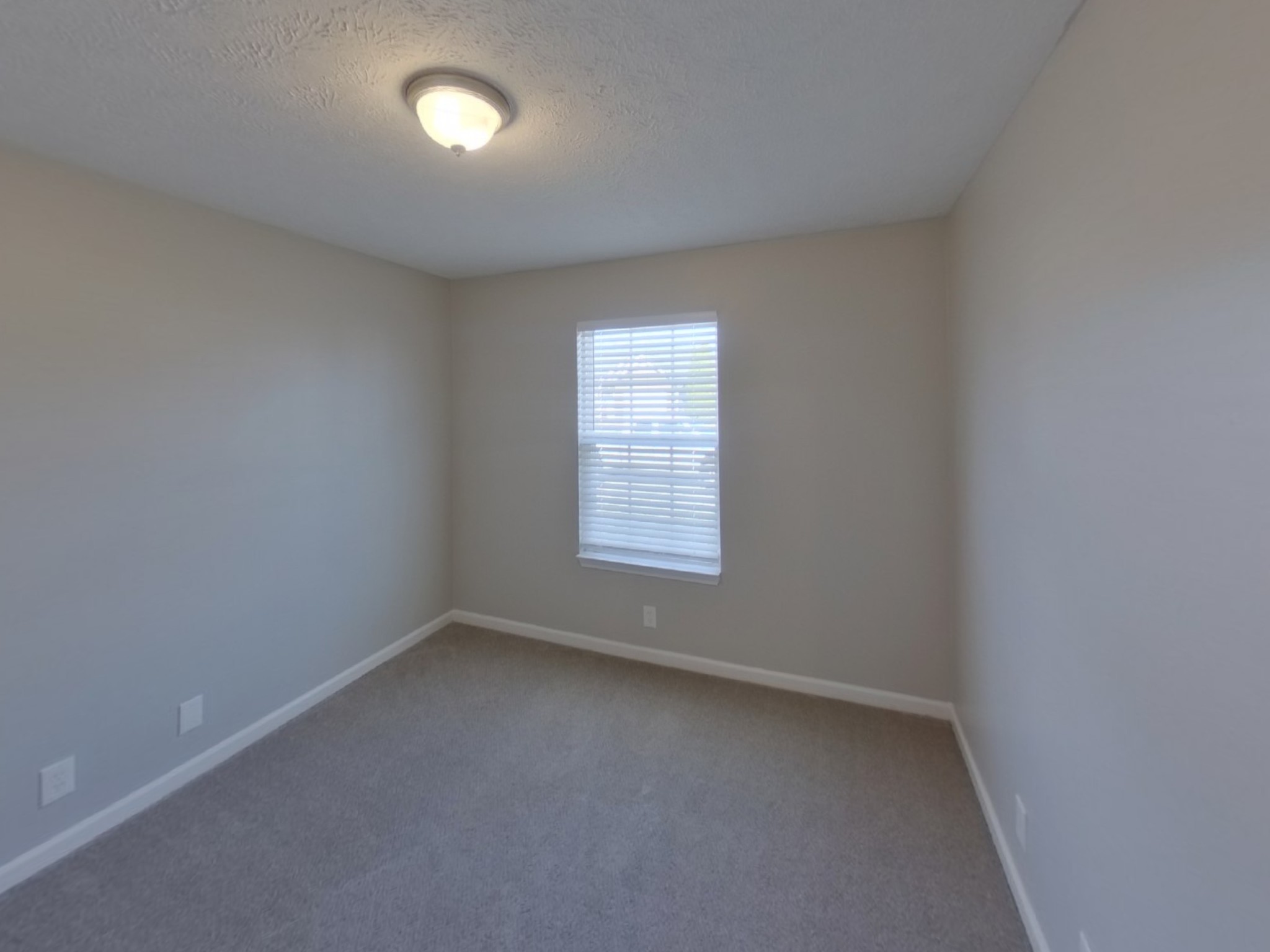 3107 Donard Ct Property Photo 12