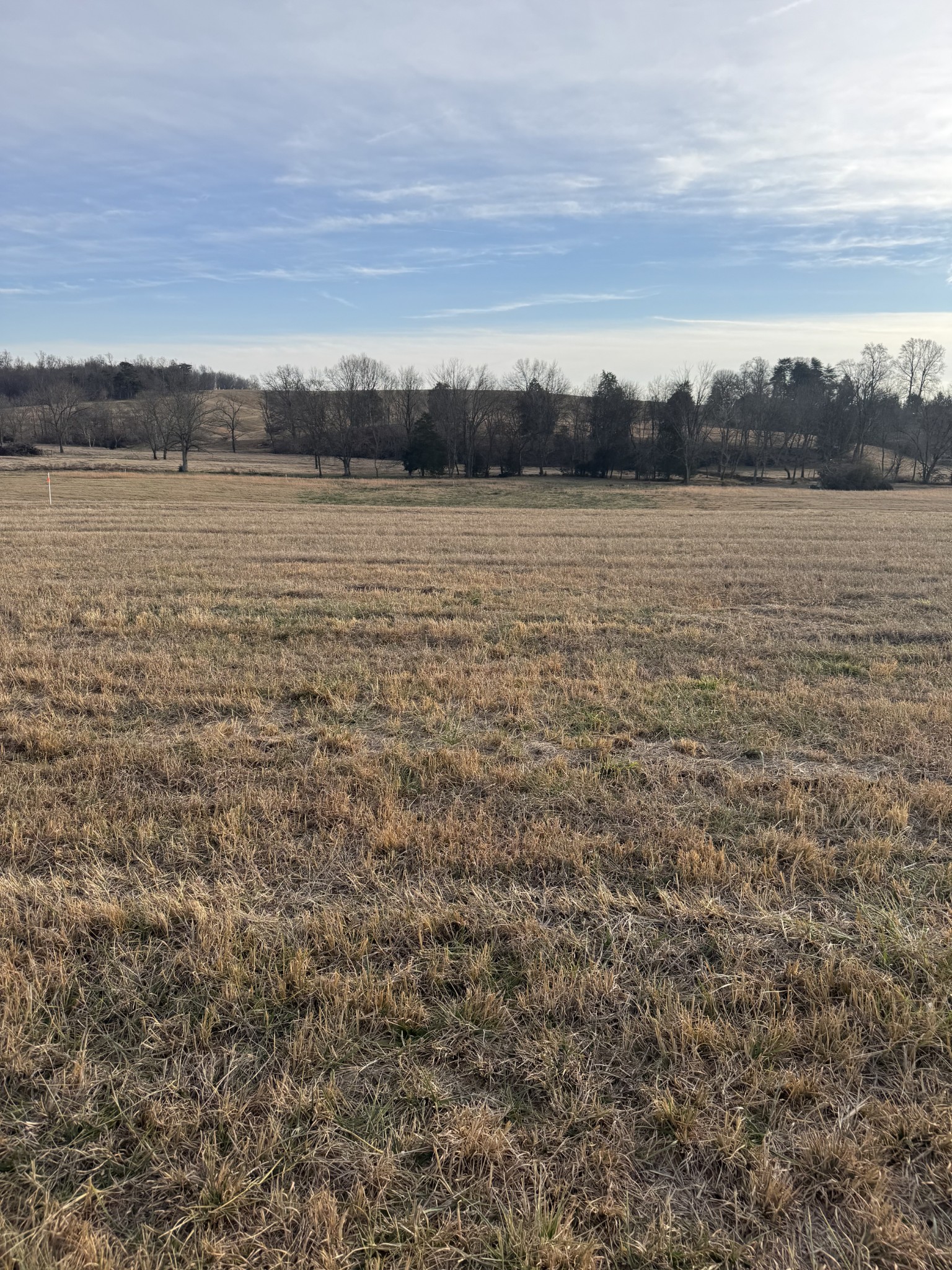 19 Clay County Hwy Property Photo 2