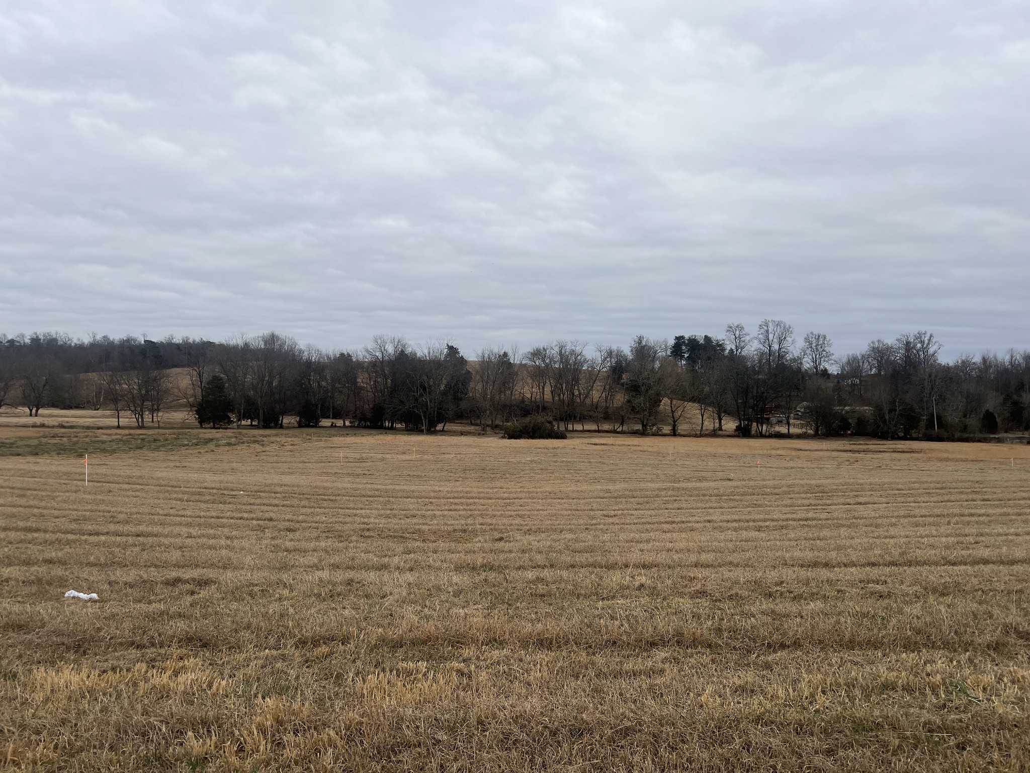 21 Clay County Hwy Property Photo 1