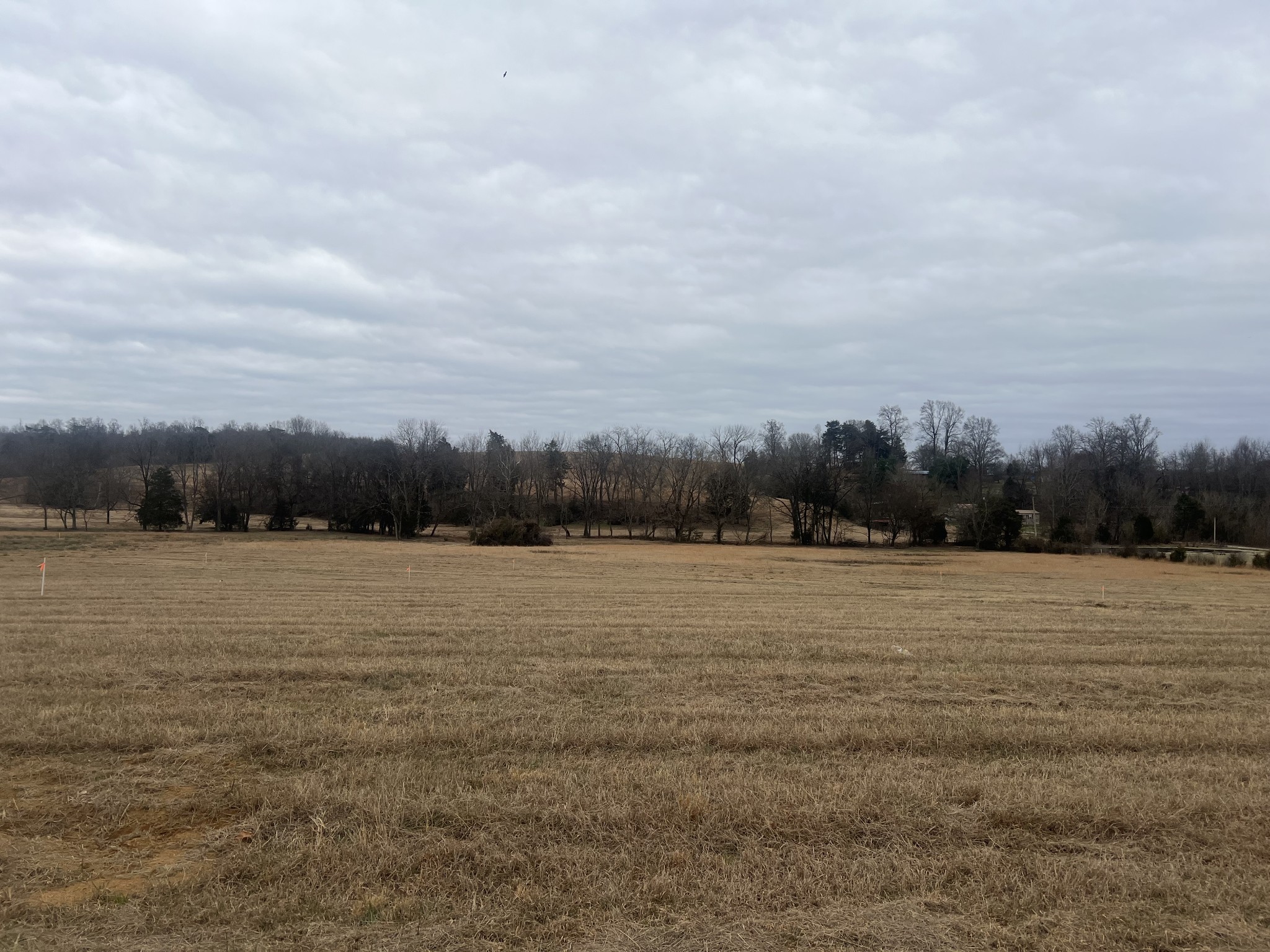 22 Clay County Hwy Property Photo 1