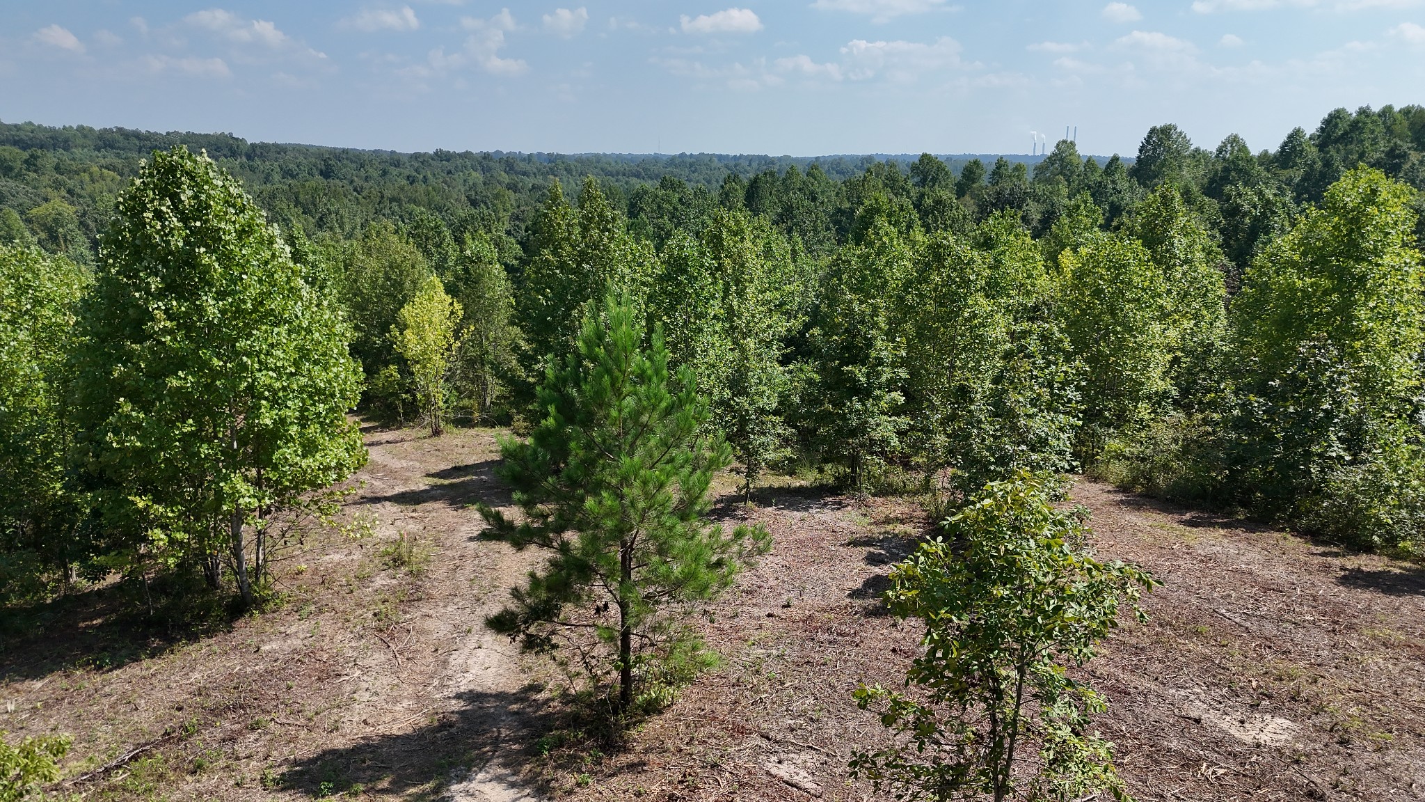 0 Freedom Ridge Property Photo 1