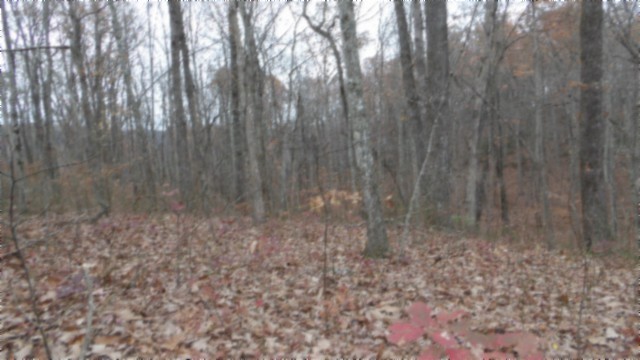 0 Cumberland Cove Rd Property Photo 1