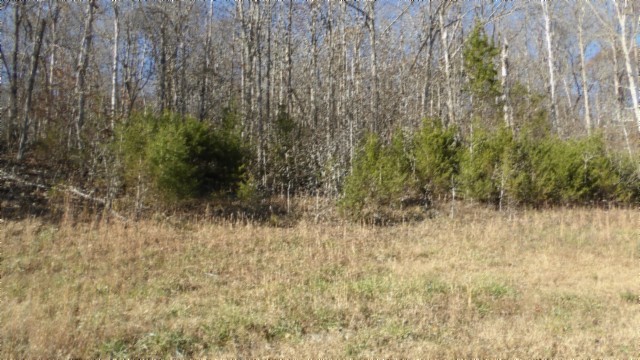 0 Cheyenne Drive Property Photo 1