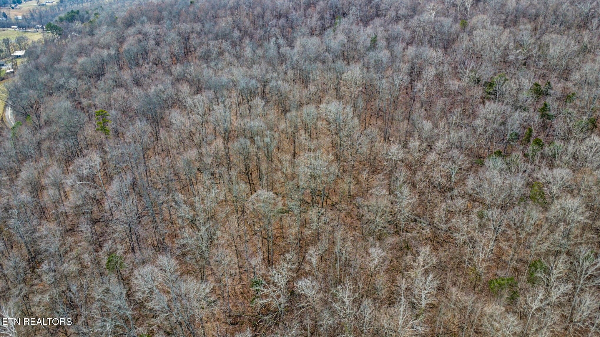0 Shellotte Loop Property Photo 6
