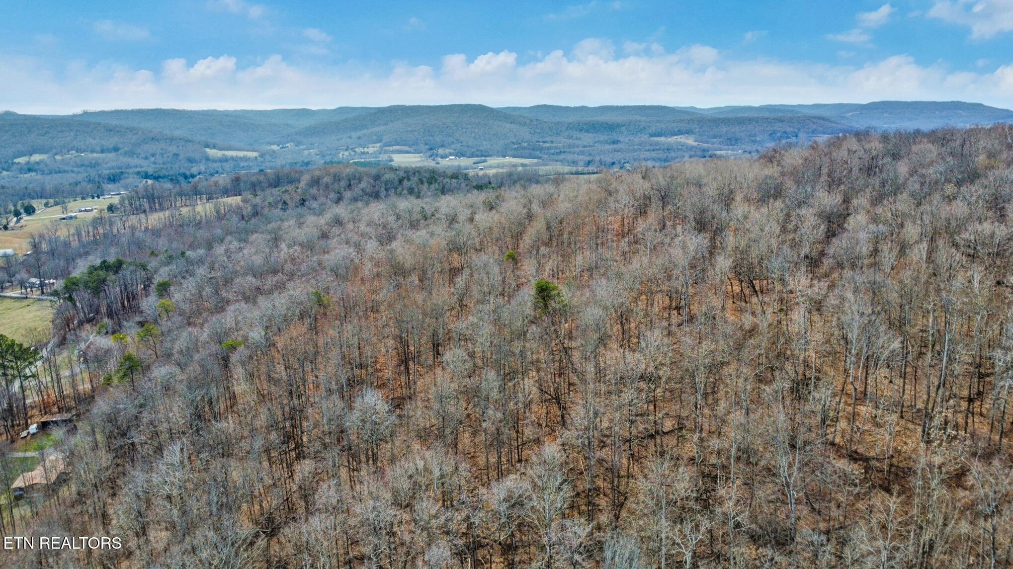 0 Shellotte Loop Property Photo 8