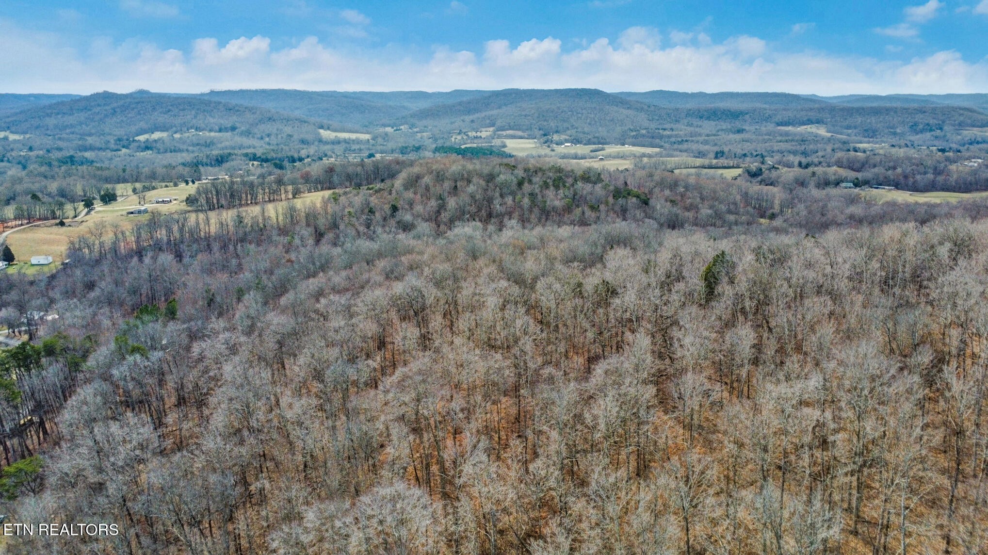 0 Shellotte Loop Property Photo 9