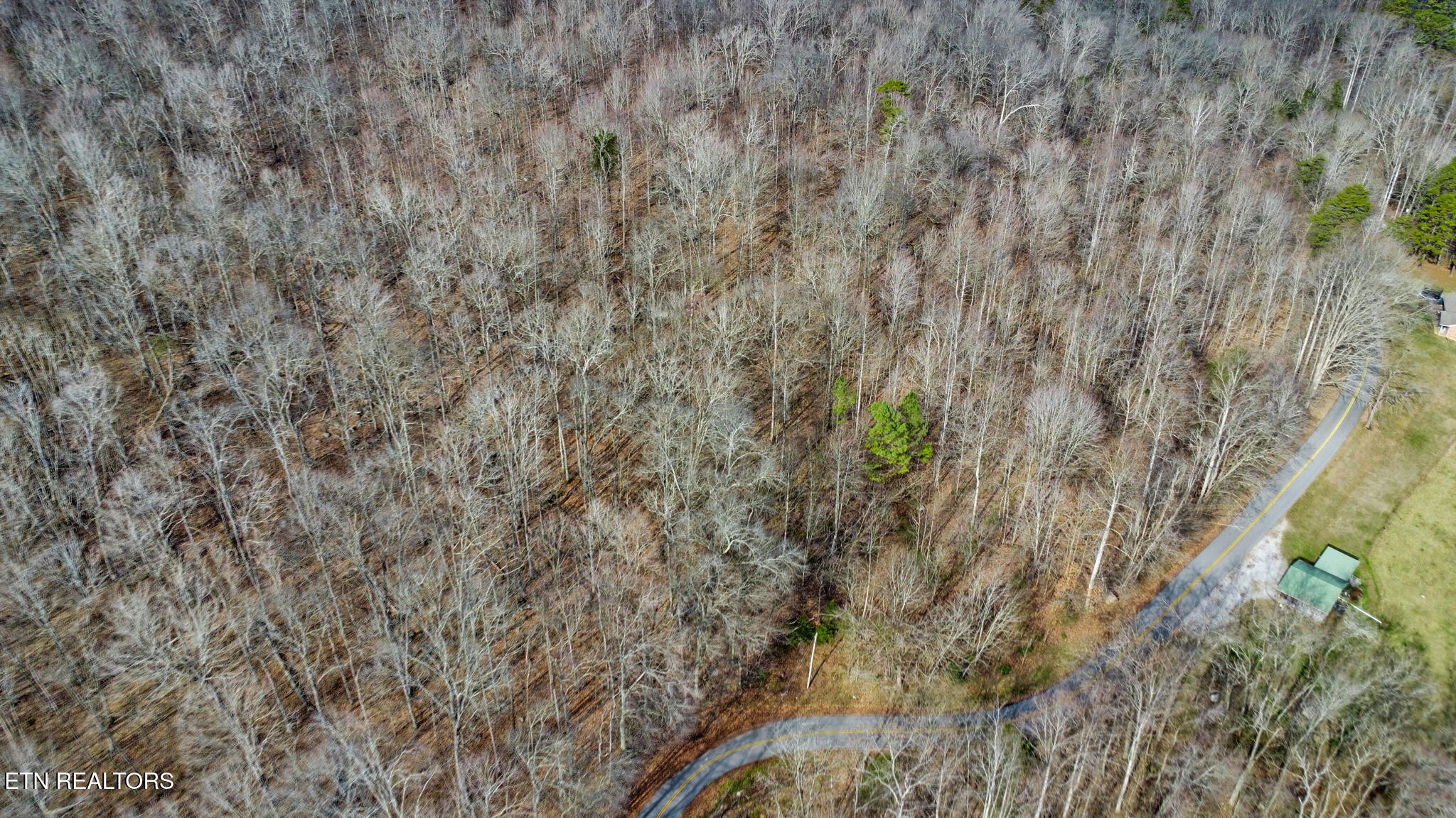 0 Shellotte Loop Property Photo 15