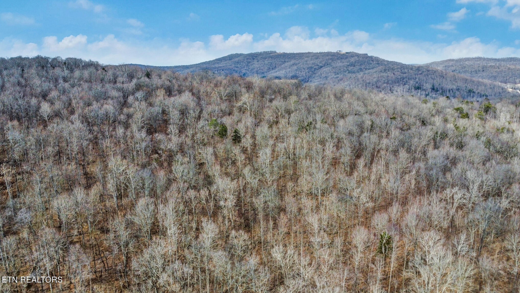 0 Shellotte Loop Property Photo 16