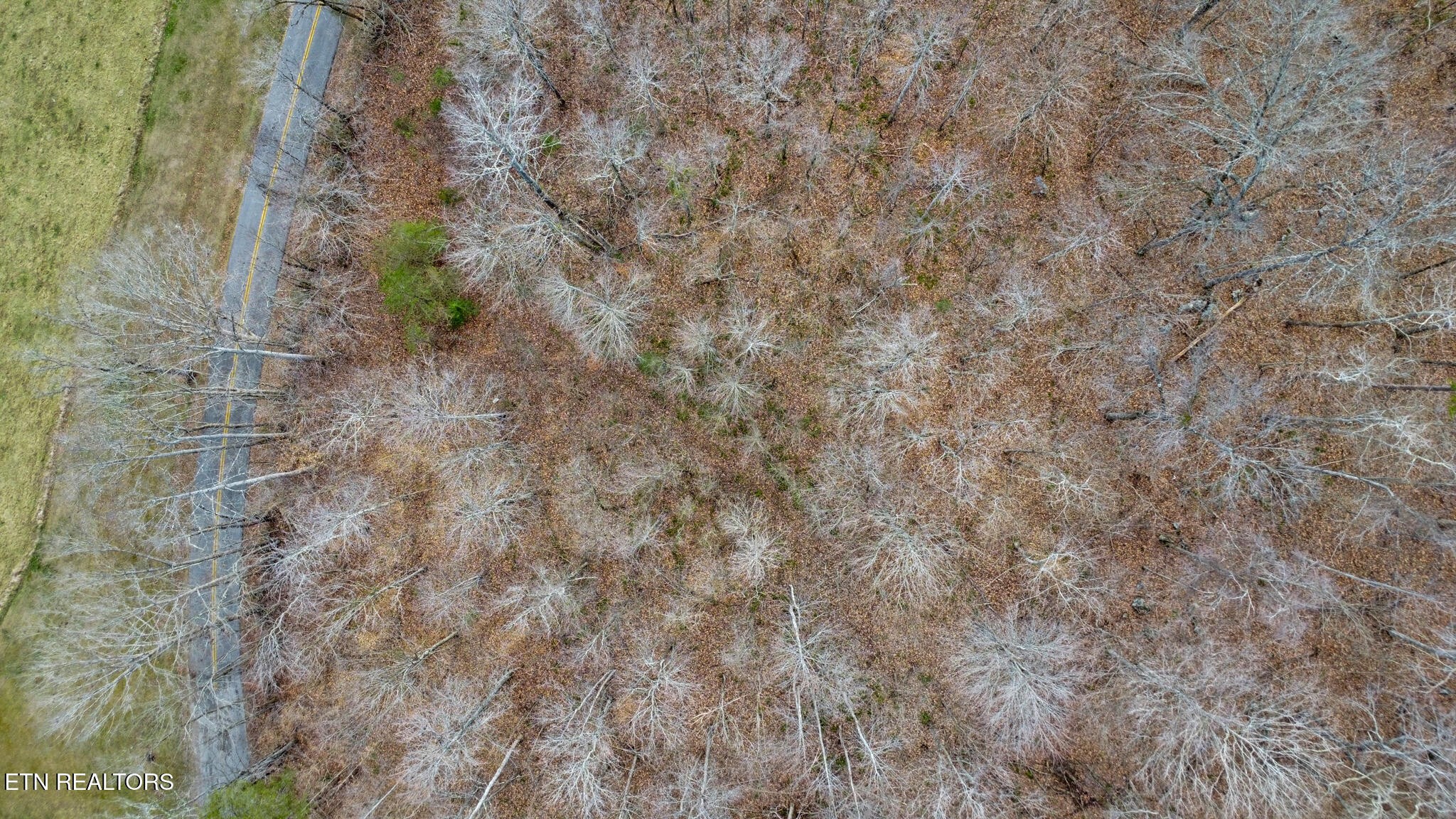 0 Shellotte Loop Property Photo 17