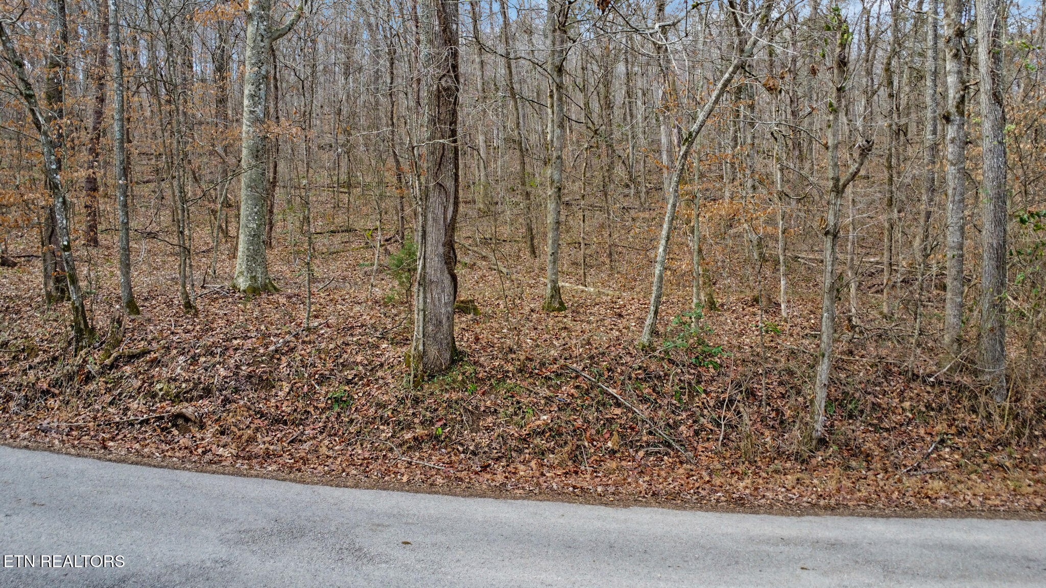 0 Shellotte Loop Property Photo 19