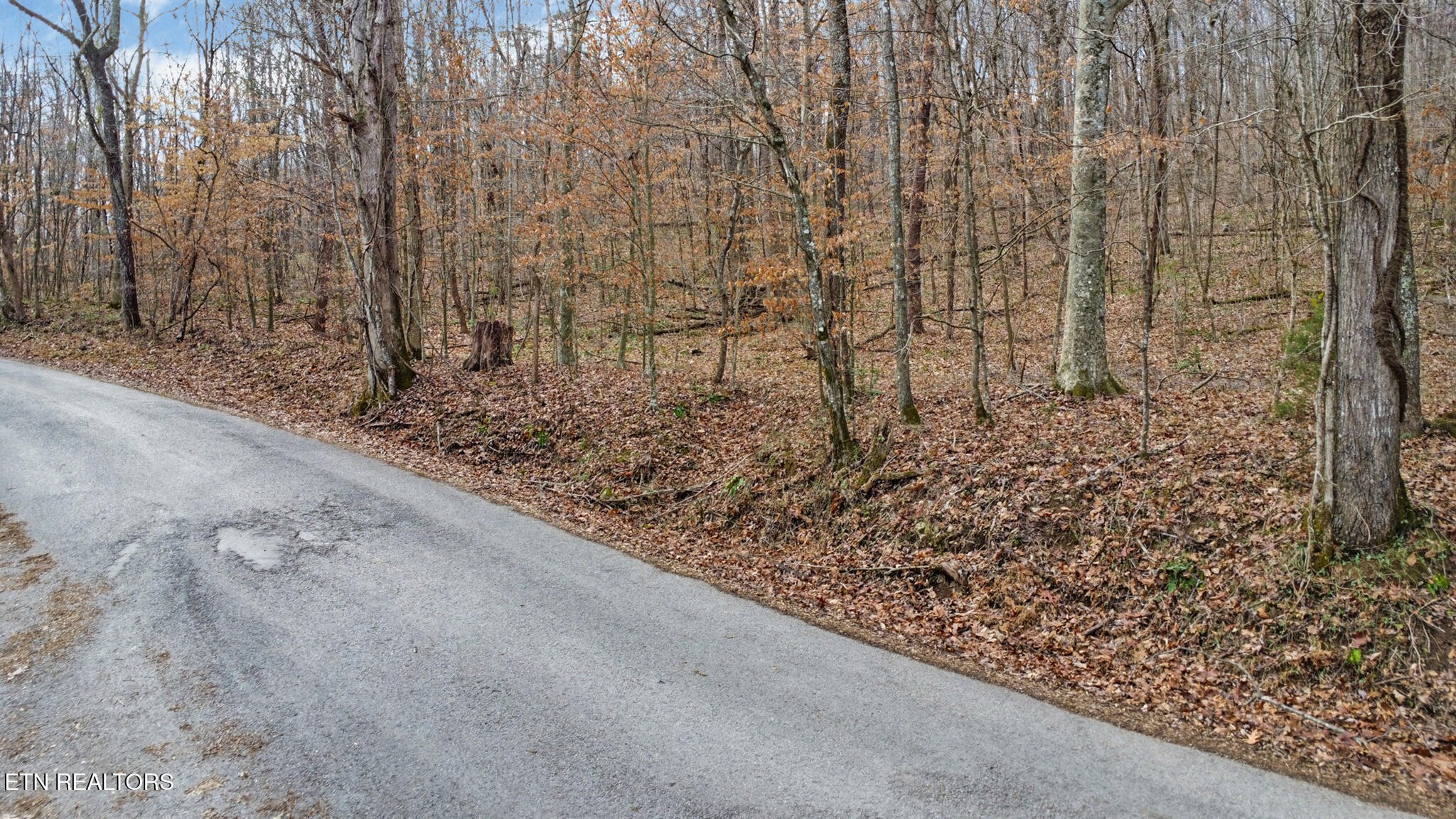 0 Shellotte Loop Property Photo 20