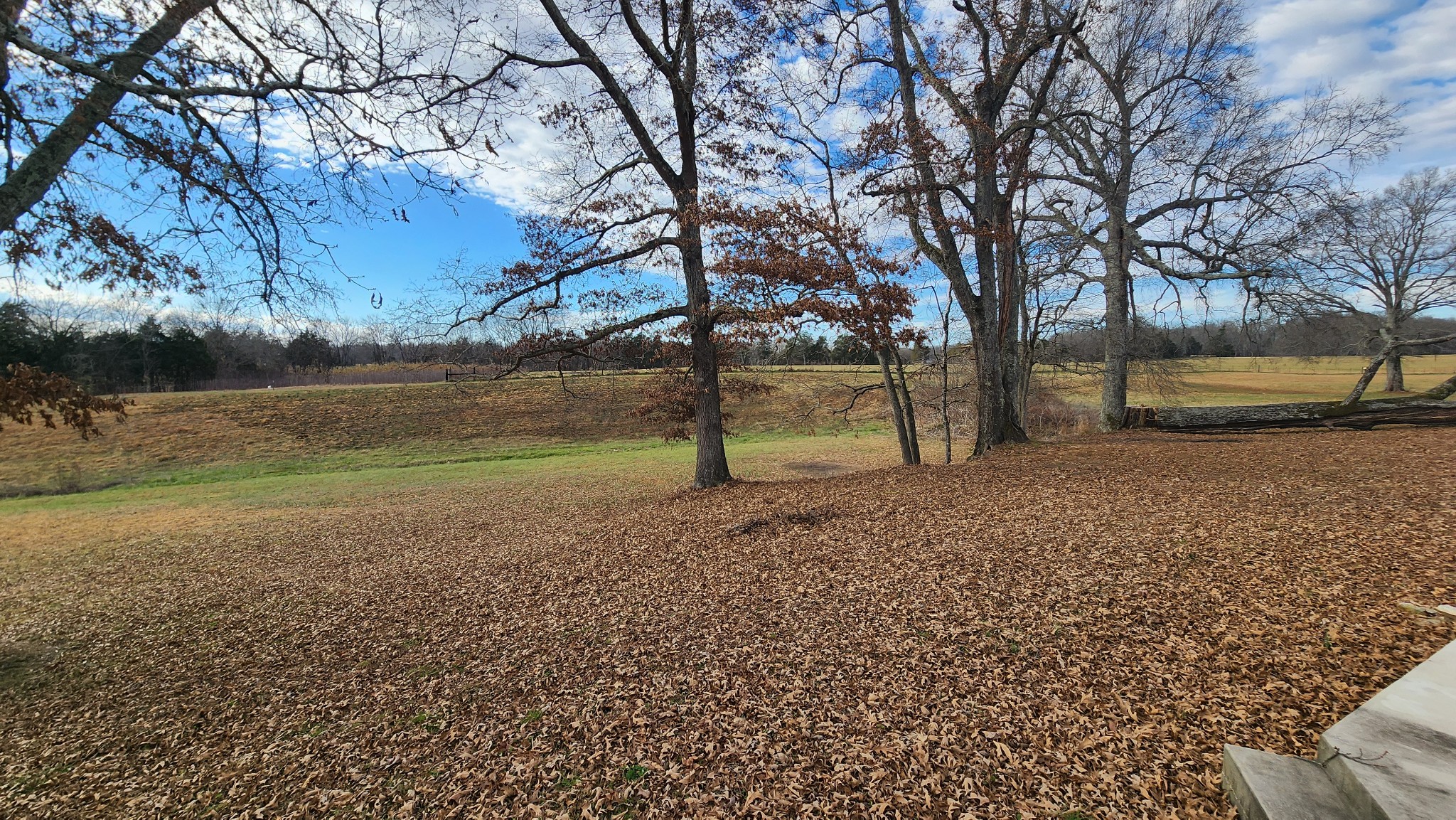 2089 Alva Jones Rd Property Photo 1