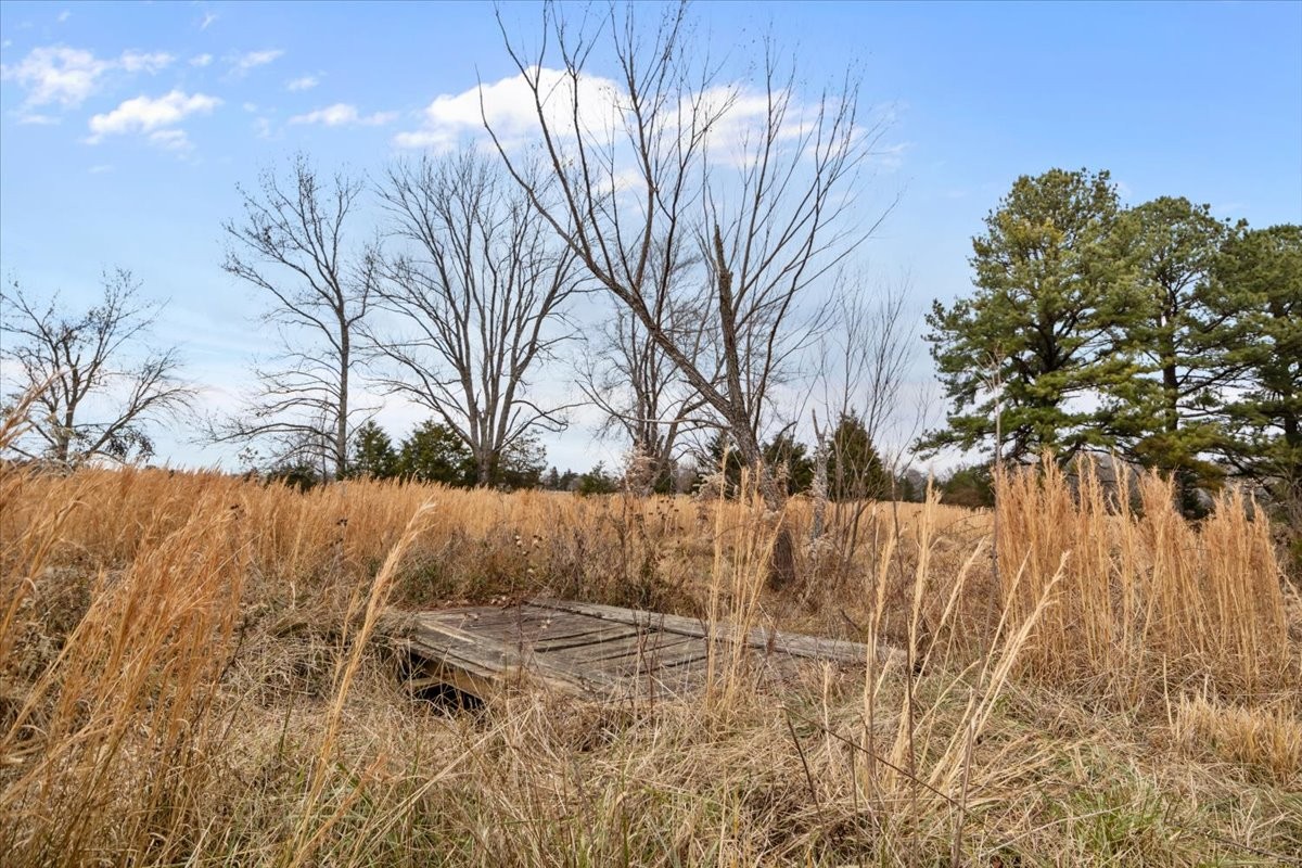 0 Polley Willey Rd Property Photo 14