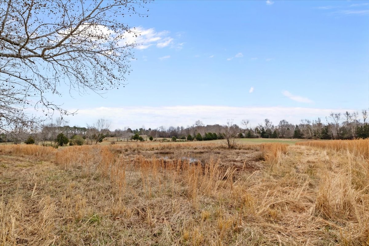 0 Polley Willey Rd Property Photo 16