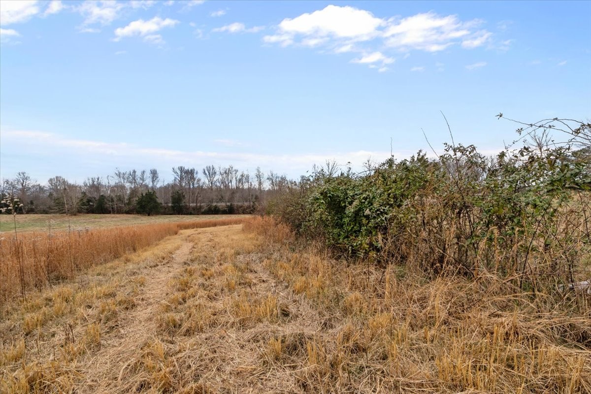 0 Polley Willey Rd Property Photo 19