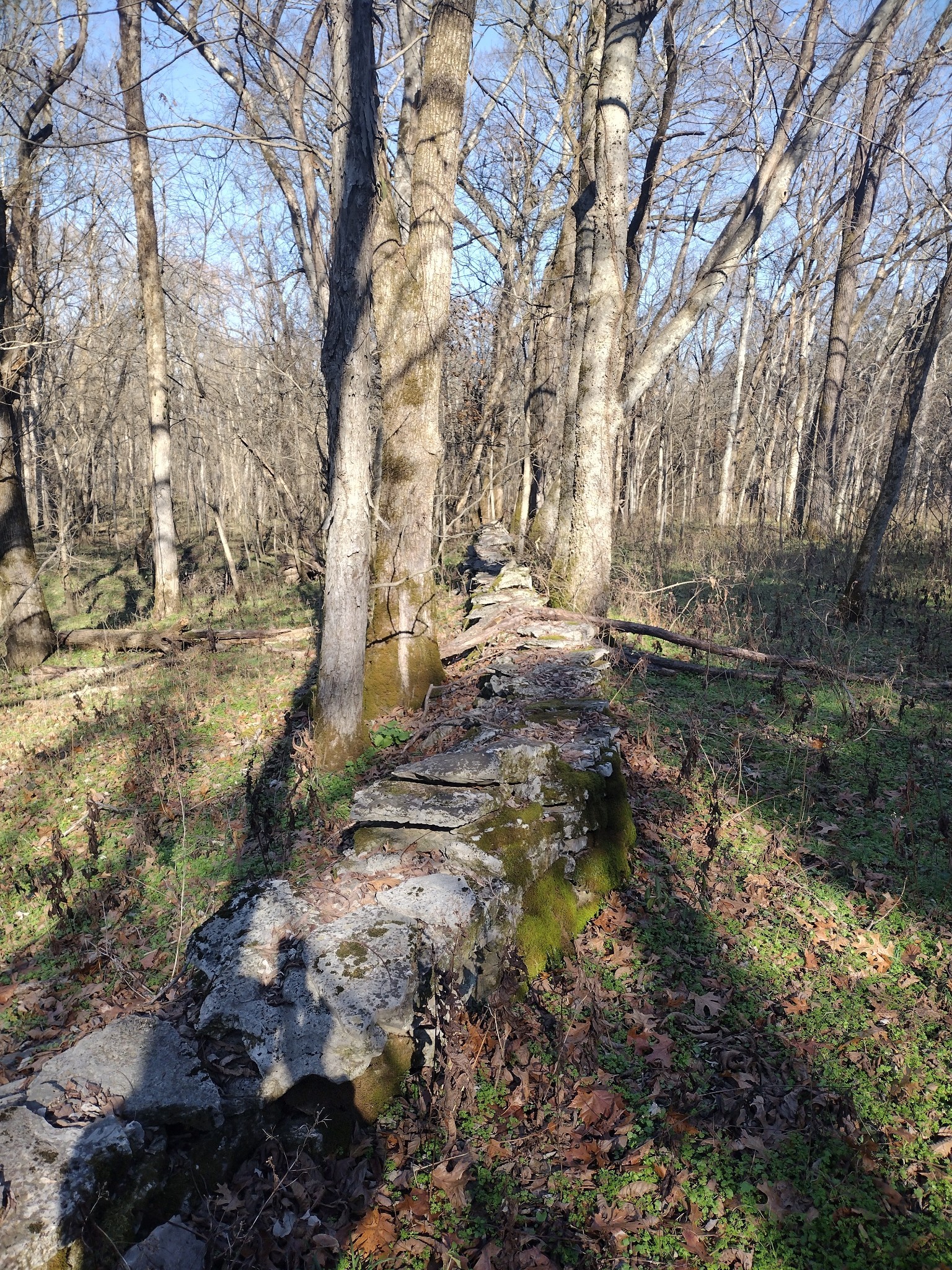 980 Baldy Ford Road Property Photo 5
