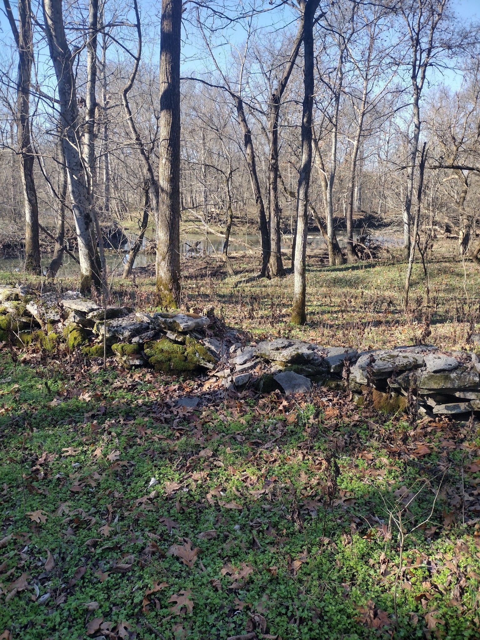 980 Baldy Ford Road Property Photo 6